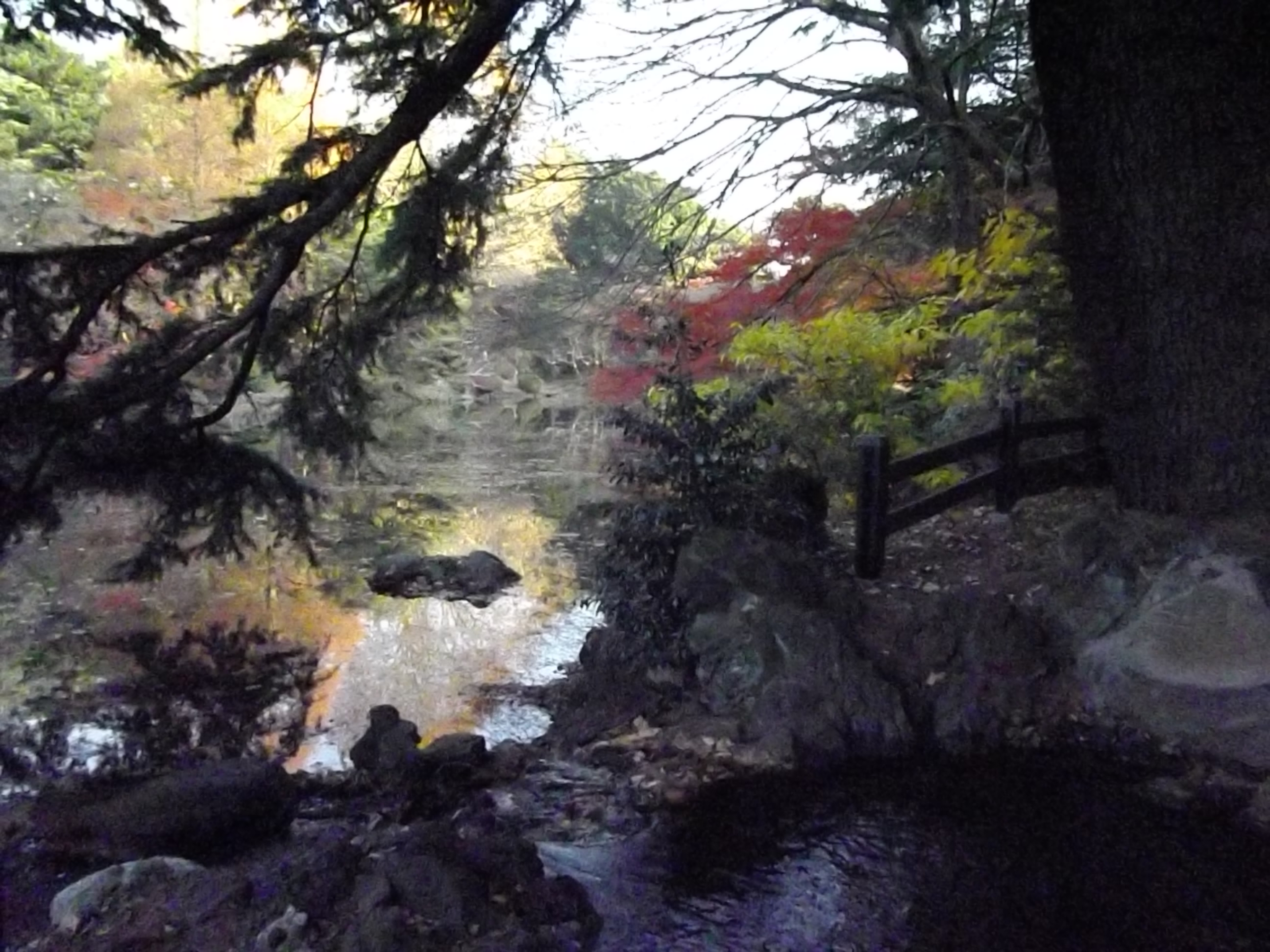 <b>ISO6400<br>Optio RS1000 / 約1.2MB / 2,592×1,944 / 1/400秒 / F8 / 0EV / 4.9mm</b>