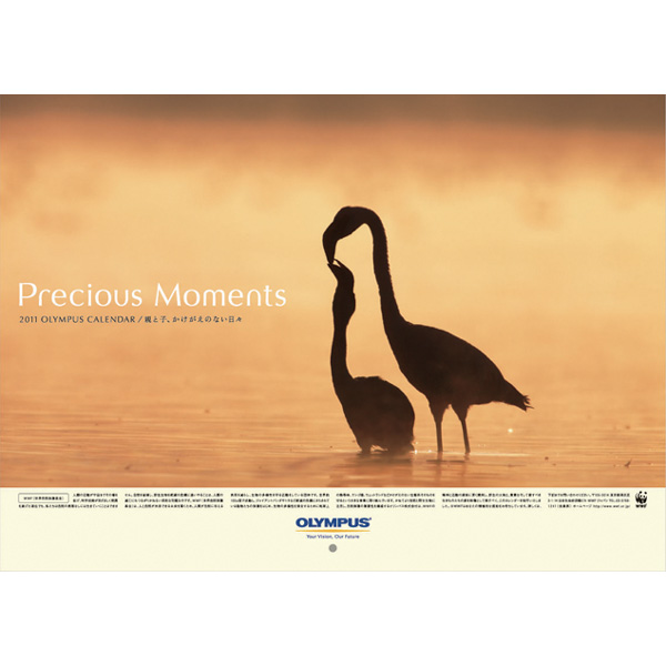 <b>オリンパス「Precious Moments/親と子、かけがえのない日々」（5名）</b>