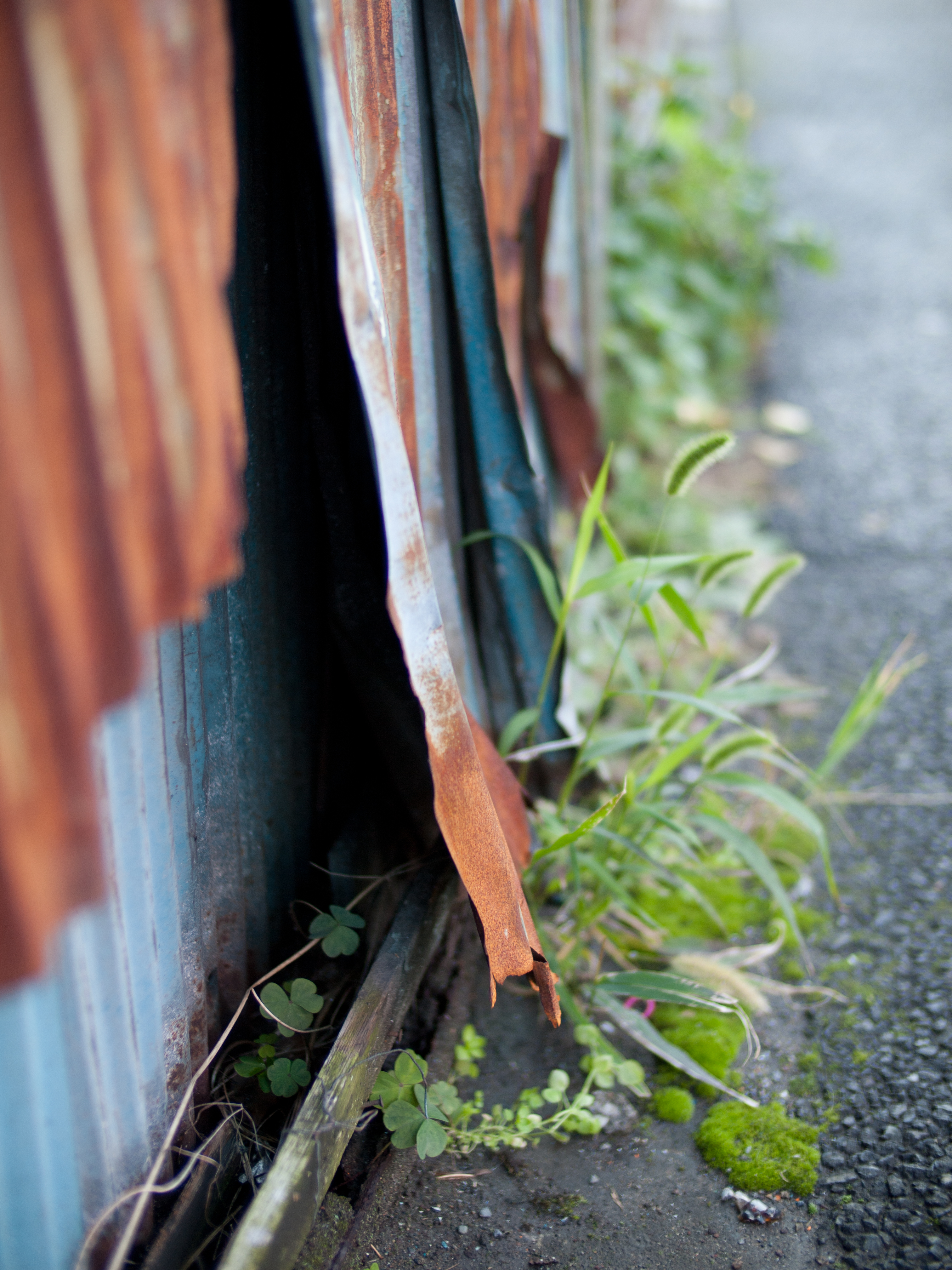 <b>E-P2 / NOKTON 25mm F0.95 / 3,024×4,032 / 1/200秒 / F1.4 / 0EV / ISO200 / WB:オート / 25mm</b>