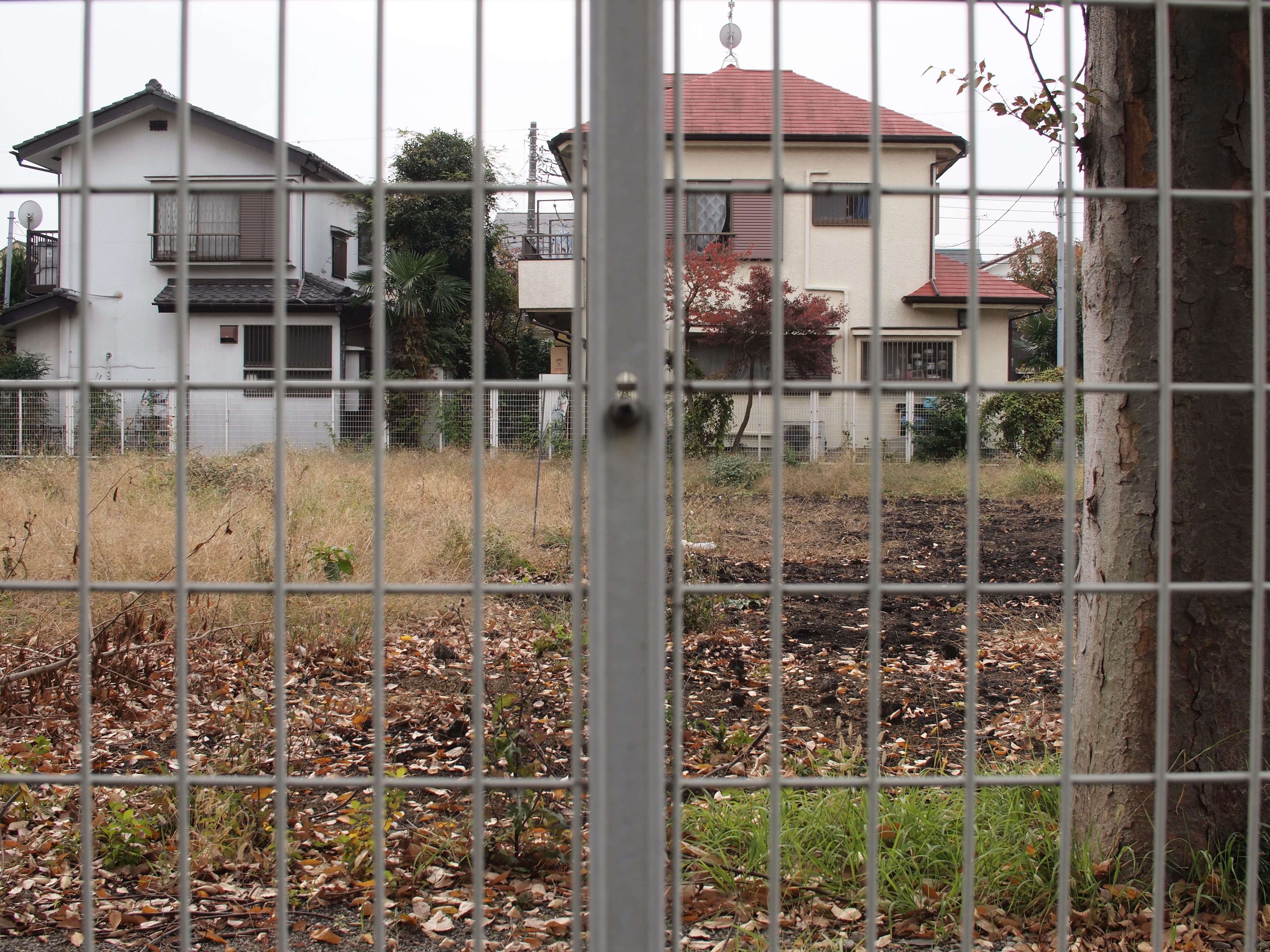 <b>参考までに、同じ位置から撮影したZUIKO DIGITAL 25mm F2.8（ライカ判換算50mm相当）の画像。これが写真の世界で言われる「標準レンズ」の画角である。ただし何を「標準」とするかは、その人の意識や写真のコンセプトによって異なる、ということを考慮する必要はある</b>