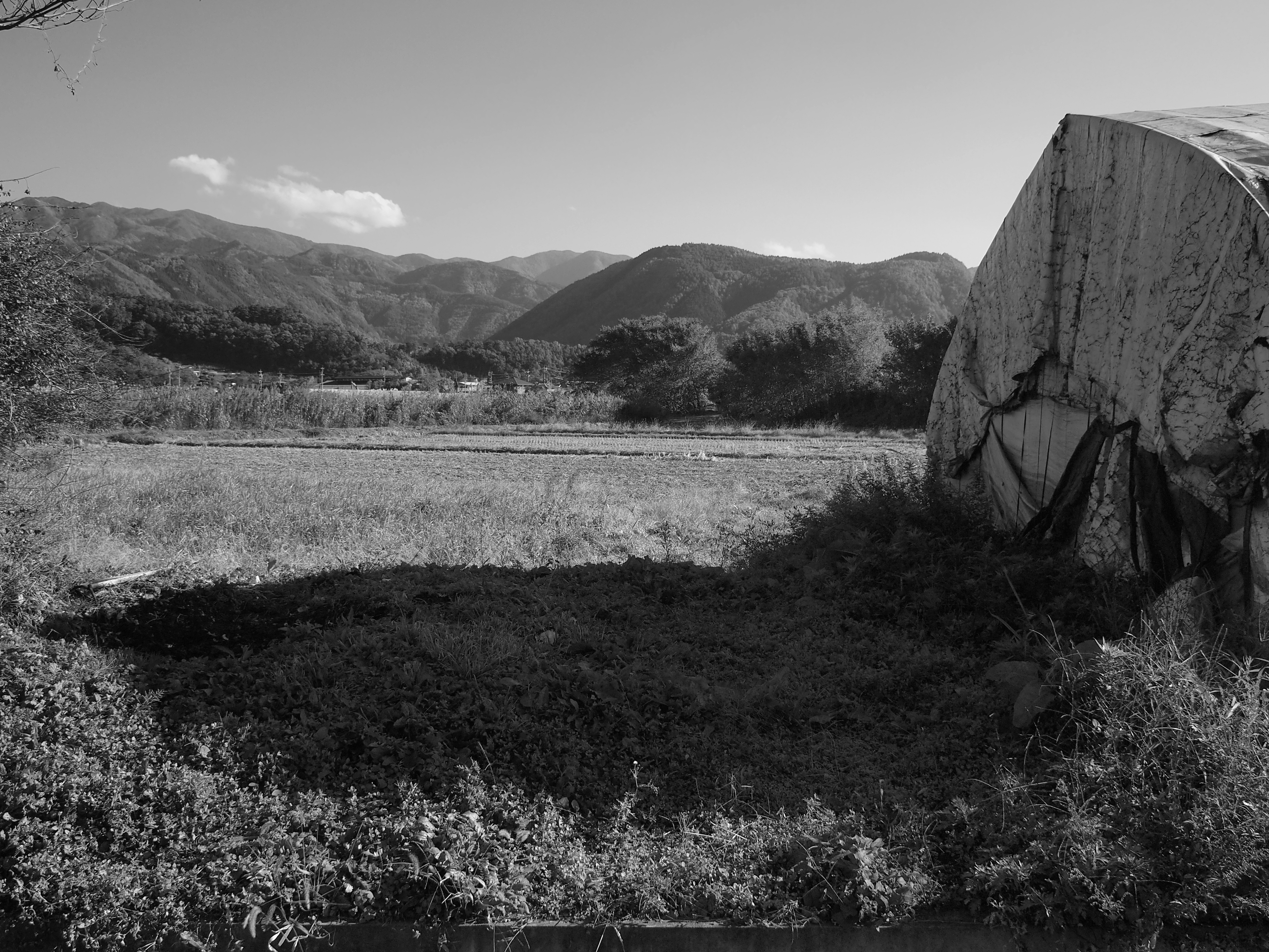 <b>E-PL1 / M.ZUIKO DIGITAL 17mm F2.8 / 4,032×3,024 / 1/320秒 / F9 / 0EV / ISO200 / プログラム / WB:オート / 17mm</b>