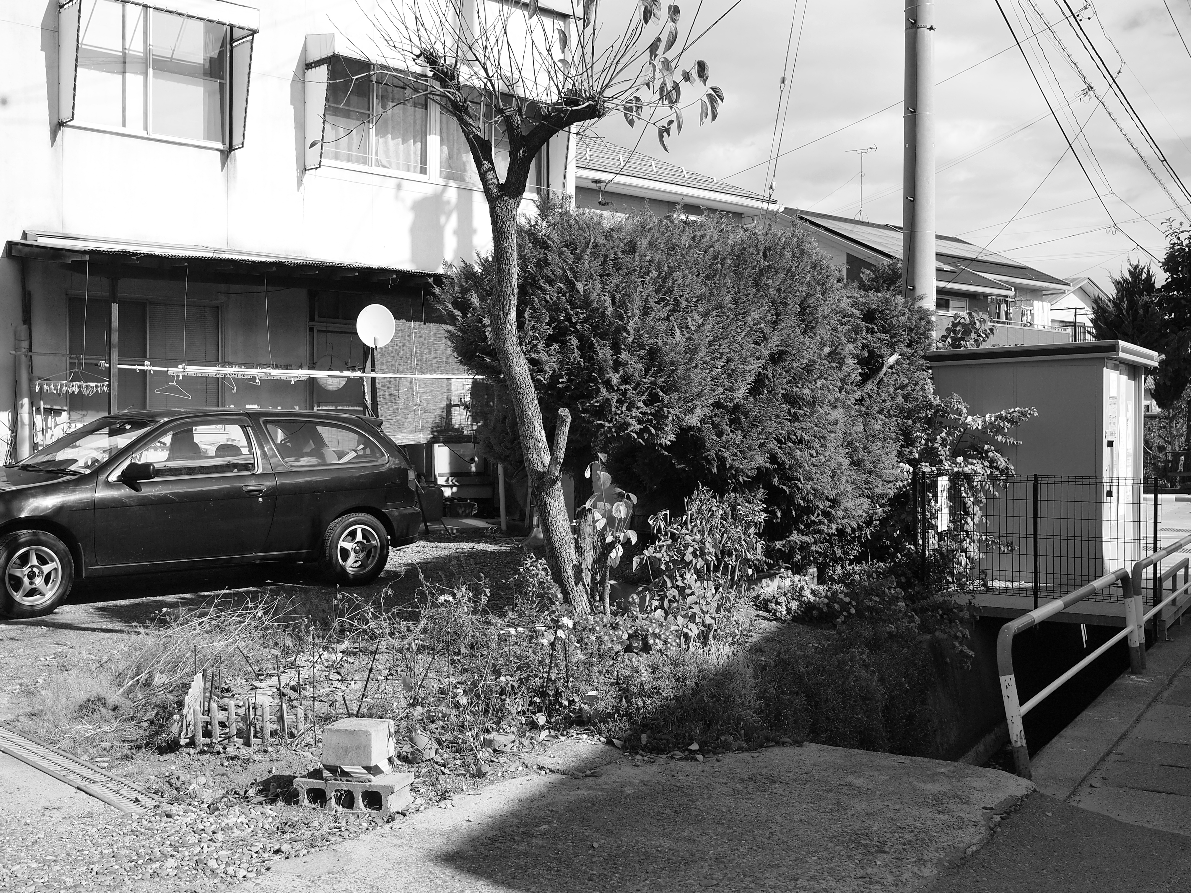 <b>E-PL1 / LUMIX G 20mm F1.7 ASPH. / 4,032×3,024 / 1/500秒 / F6.3 / 0EV / ISO200 / プログラム / WB:オート / 20mm</b>