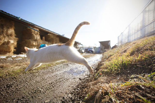 <b>(c)曽根原昇</b>