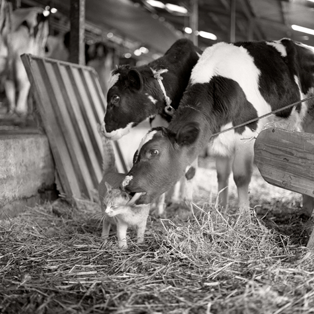 <b>(c)曽根原昇</b>