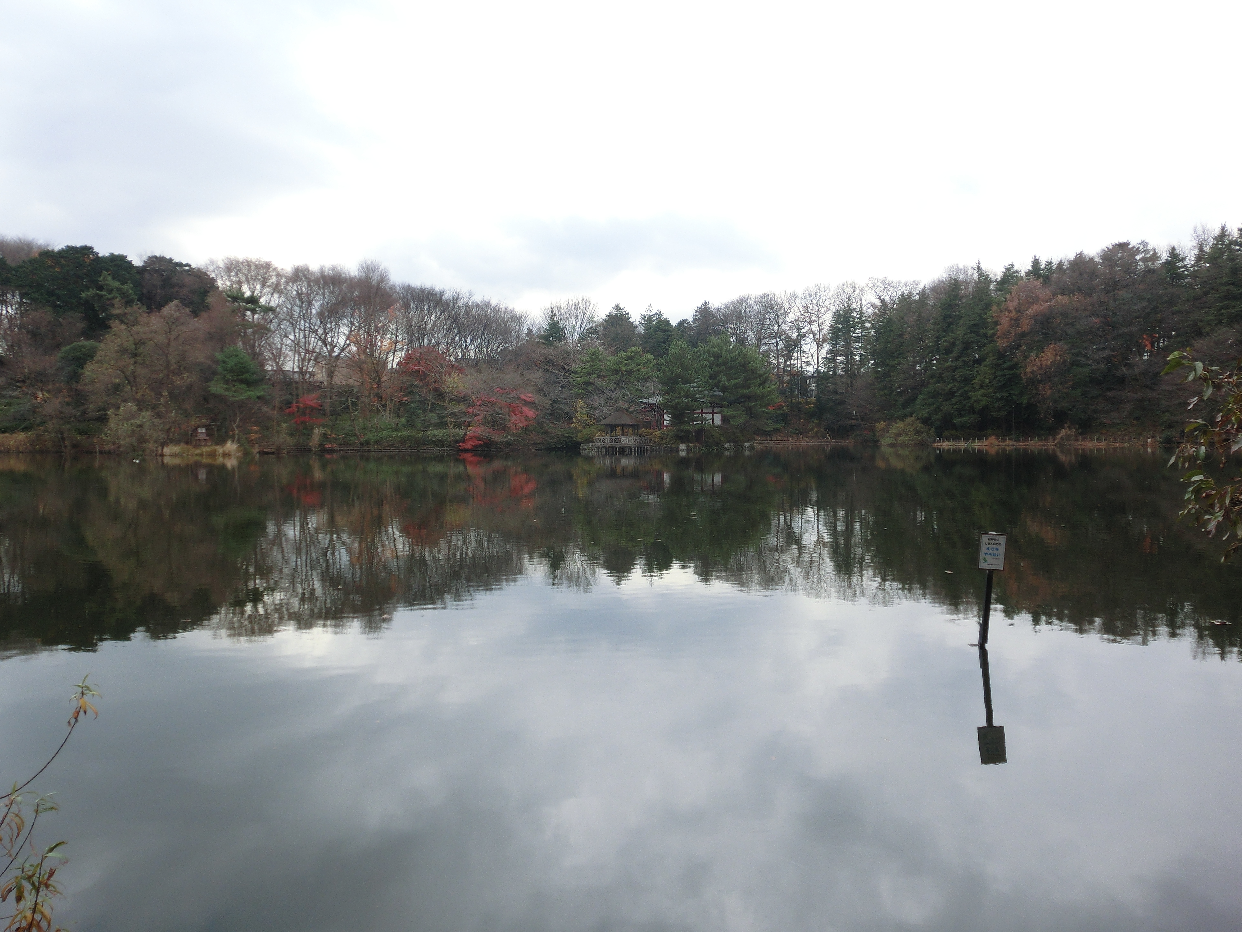 <b>光学ズームの広角端<br>EX-ZR10 / 4,000×3,000 / 1/250秒 / F3 / 0.3EV / ISO100 / WB:太陽光 / 5mm（28mm相当）</b>