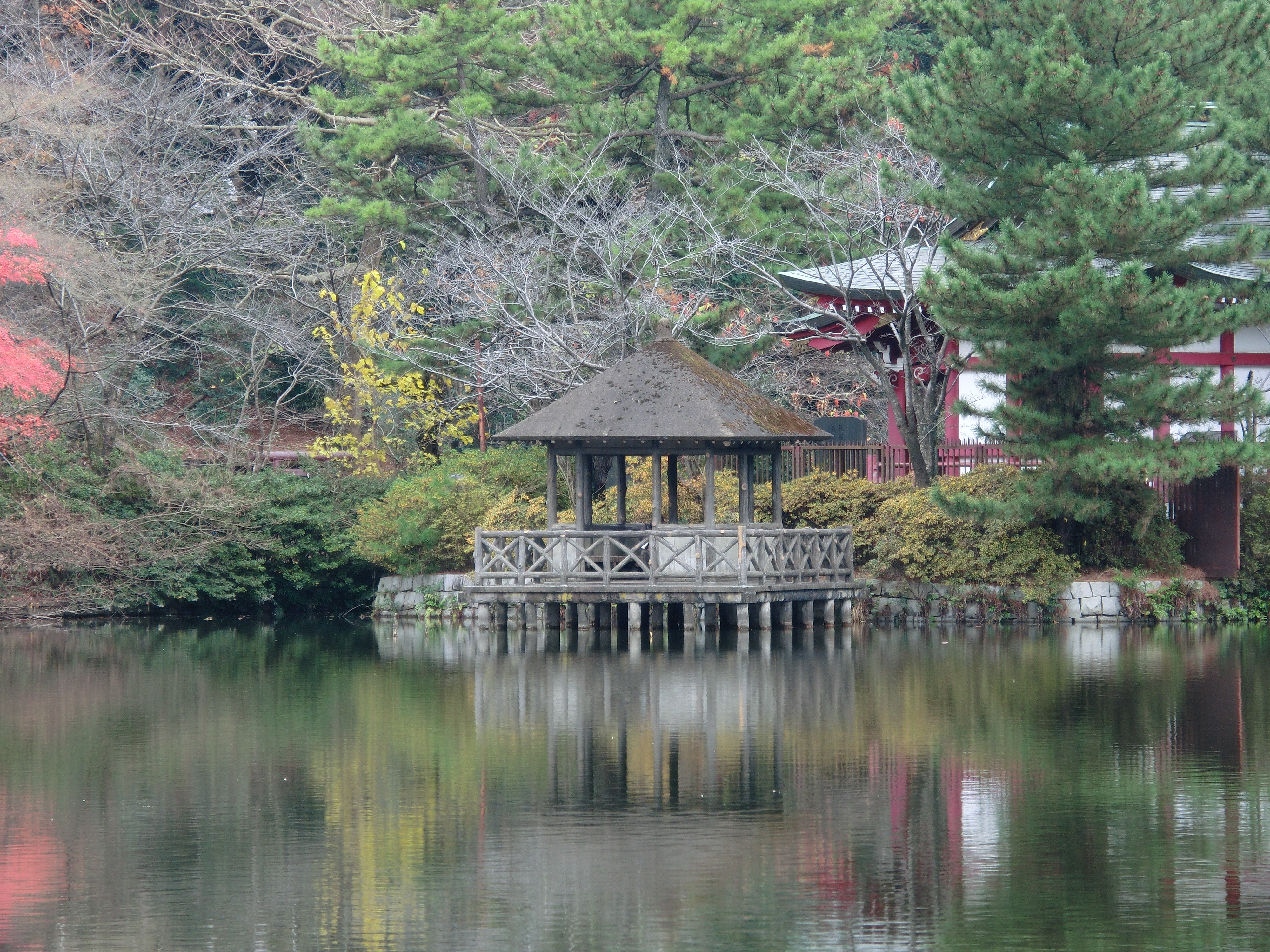 <b>望遠ズームの望遠端<br>EX-ZR10 / 4,000×3,000 / 1/20秒 / F5.9 / -0.7EV / ISO100 / WB:太陽光 / 35mm（196mm相当）</b>