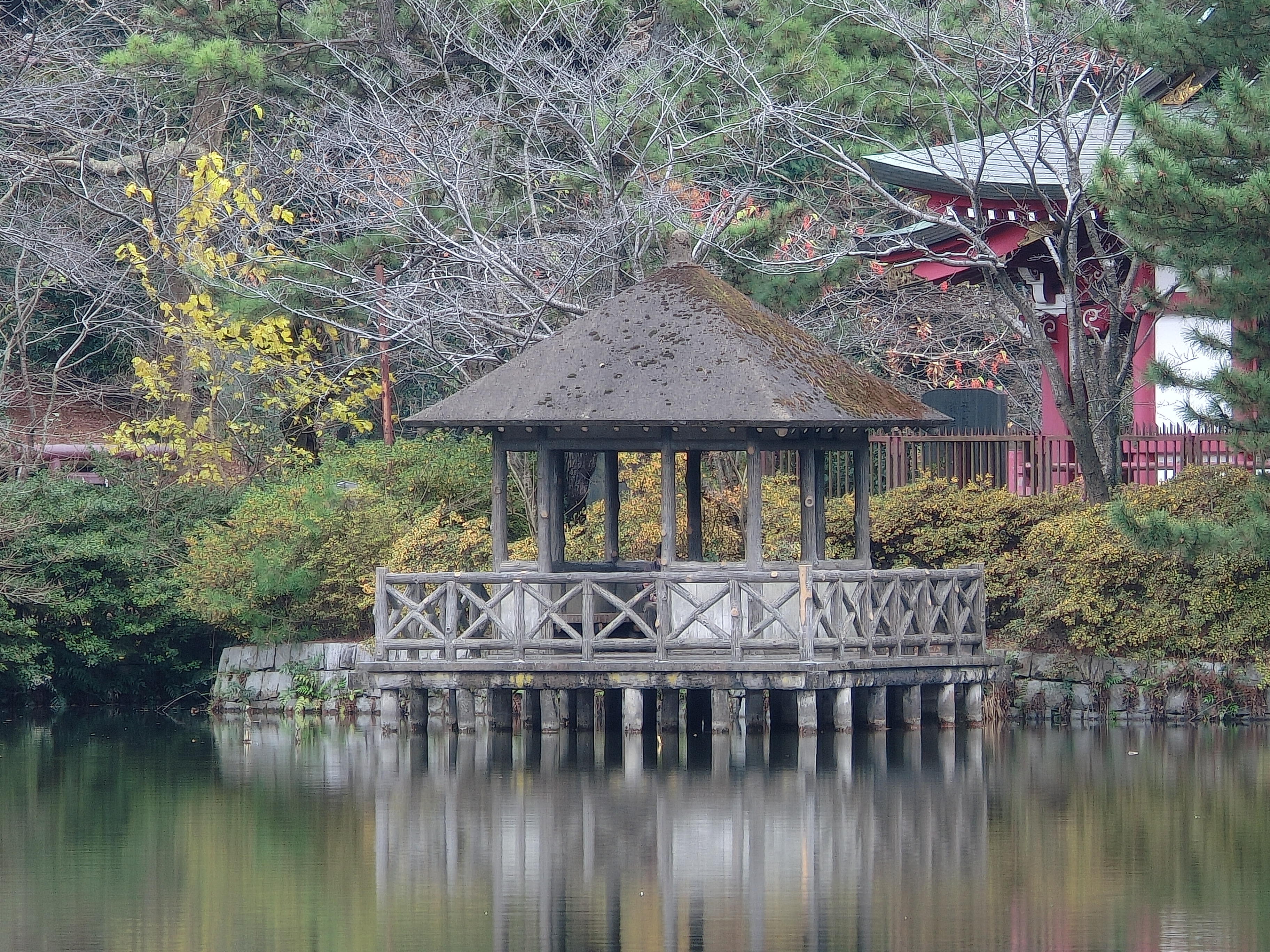 <b>マルチ超解像（10.5倍）<br>3,648×2,736 / 1/20秒 / F5.9 / -0.7EV / ISO100 / WB:太陽光 / 35mm（196mm相当）</b>