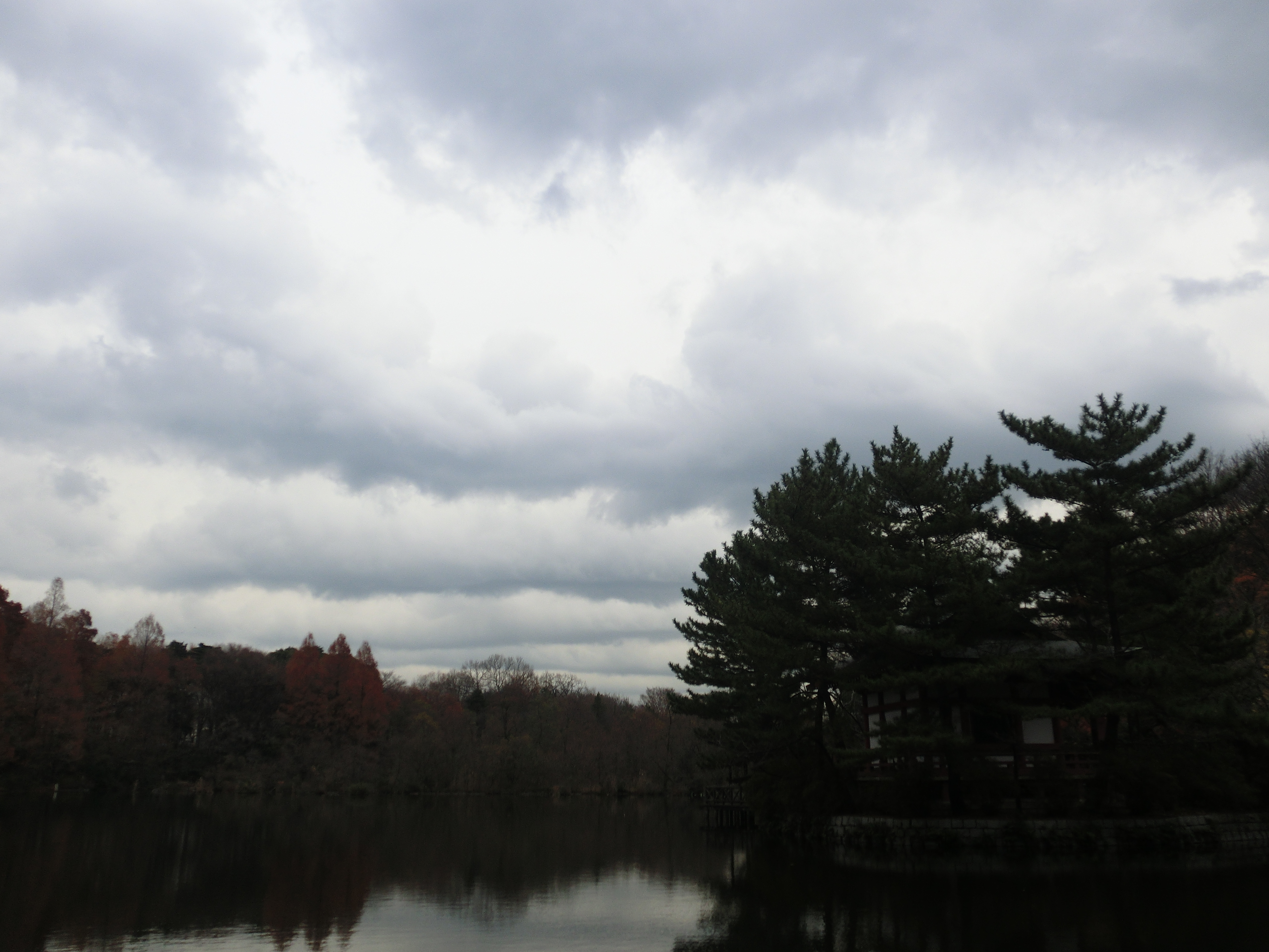 <b>通常撮影<br>EX-ZR10 / 4,000×3,000 / 1/100秒 / F8.8 / 0EV / ISO100 / WB:太陽光 / 5mm（28mm相当）</b>