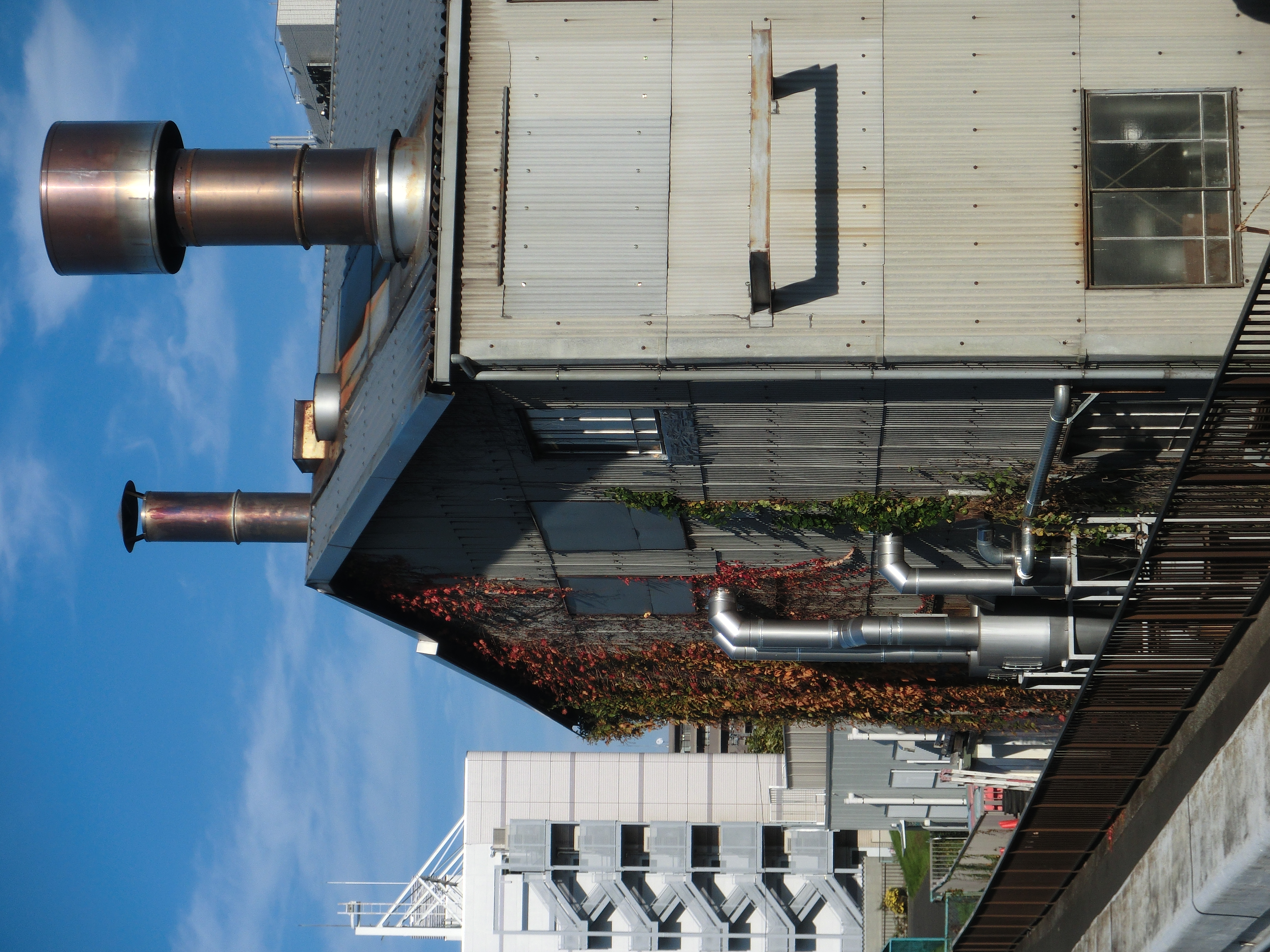 <b>カラーフィルター:オフ<br>EX-ZR10 / 4,000×3,000 / 1/200秒 / F11.3 / -0.7EV / ISO100 / WB:オート / 12.9mm（73mm相当）</b>