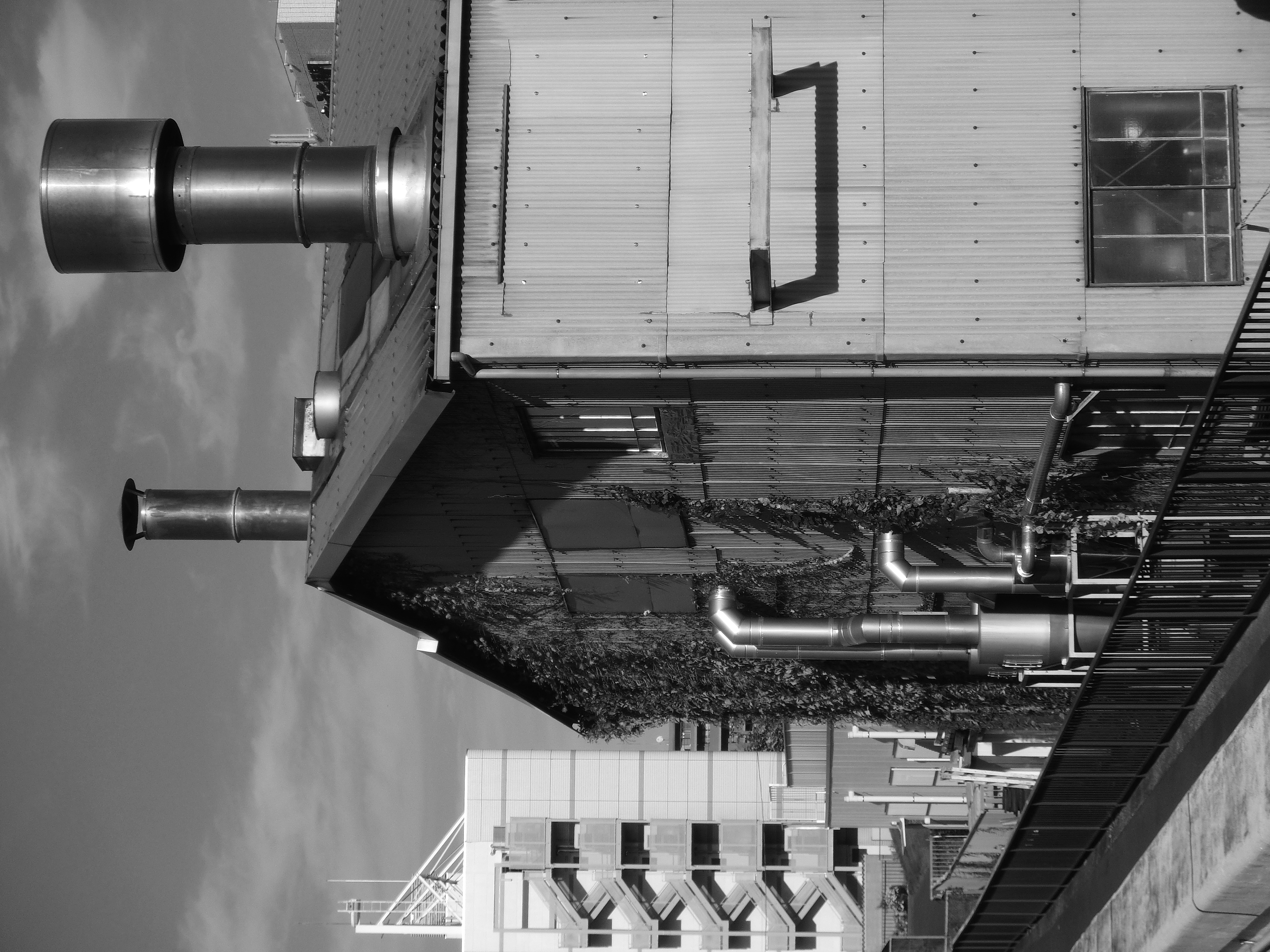 <b>カラーフィルター:白黒<br>EX-ZR10 / 4,000×3,000 / 1/250秒 / F11.3 / -0.7EV / ISO100 / WB:オート / 12.9mm（73mm相当）</b>