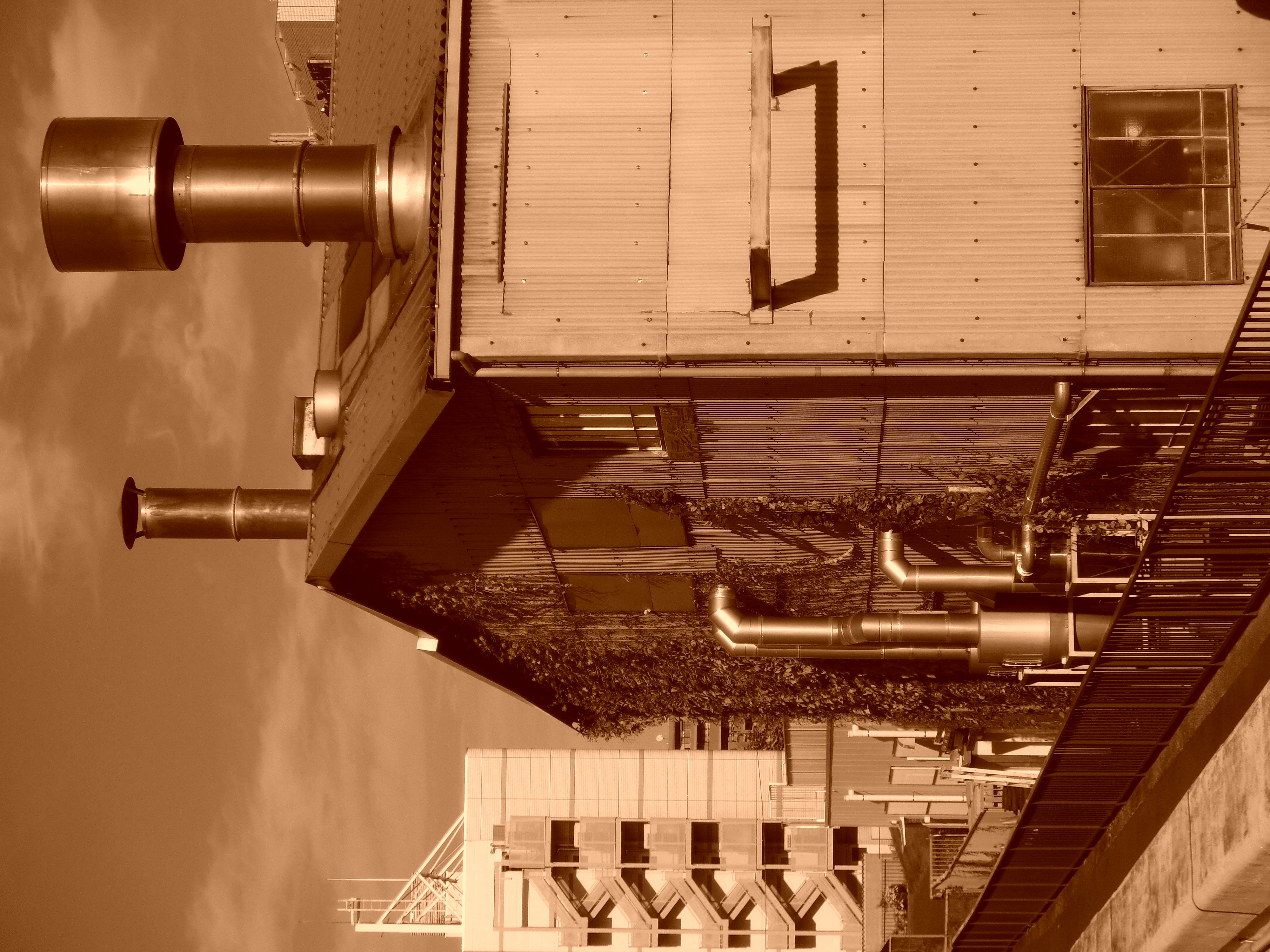 <b>カラーフィルター:セピア<br>EX-ZR10 / 4,000×3,000 / 1/250秒 / F11.3 / -0.7EV / ISO100 / WB:オート / 12.9mm（73mm相当）</b>