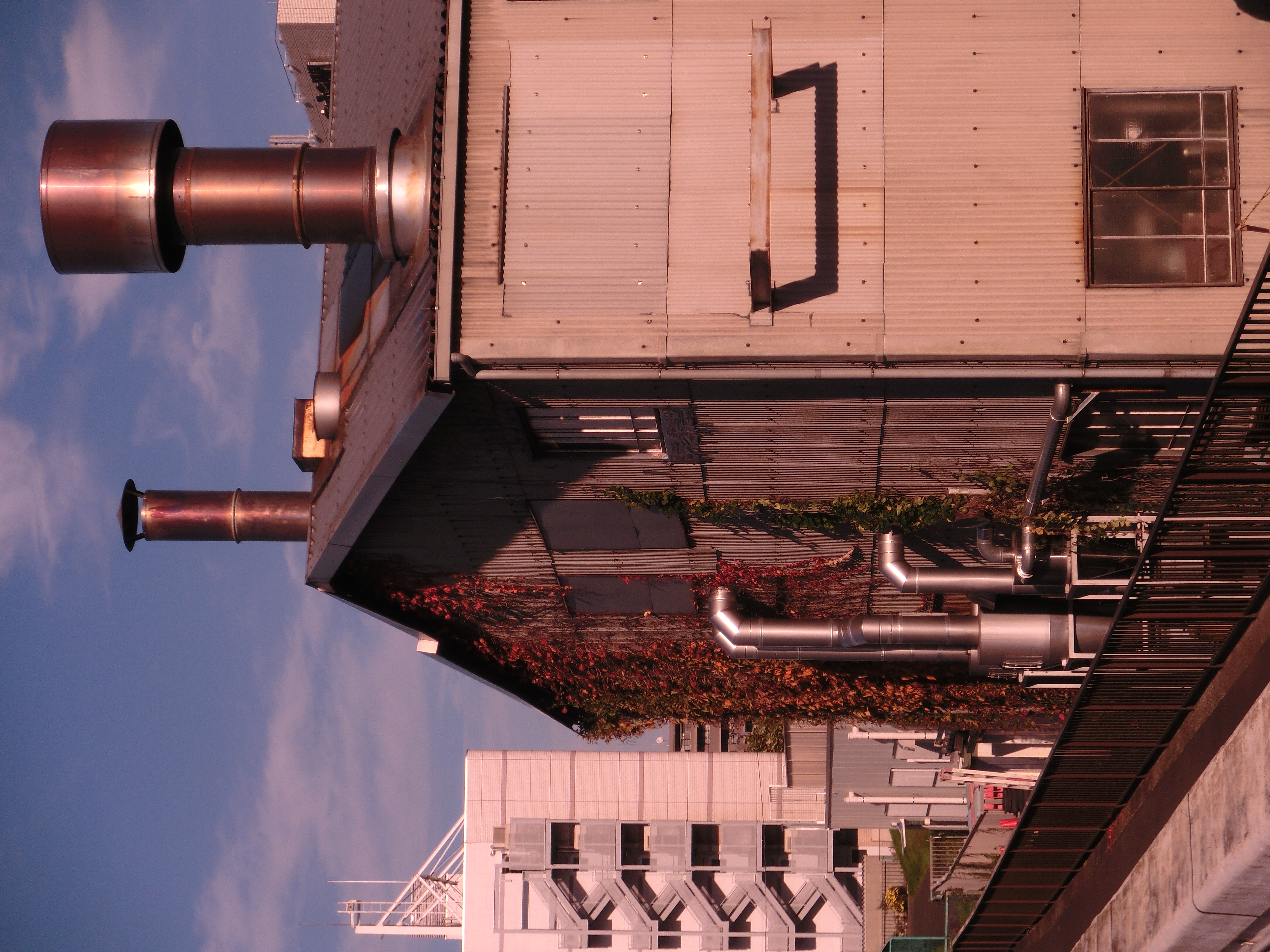 <b>カラーフィルター:赤<br>EX-ZR10 / 4,000×3,000 / 1/320秒 / F11.3 / -0.7EV / ISO100 / WB:オート / 12.9mm（73mm相当）</b>