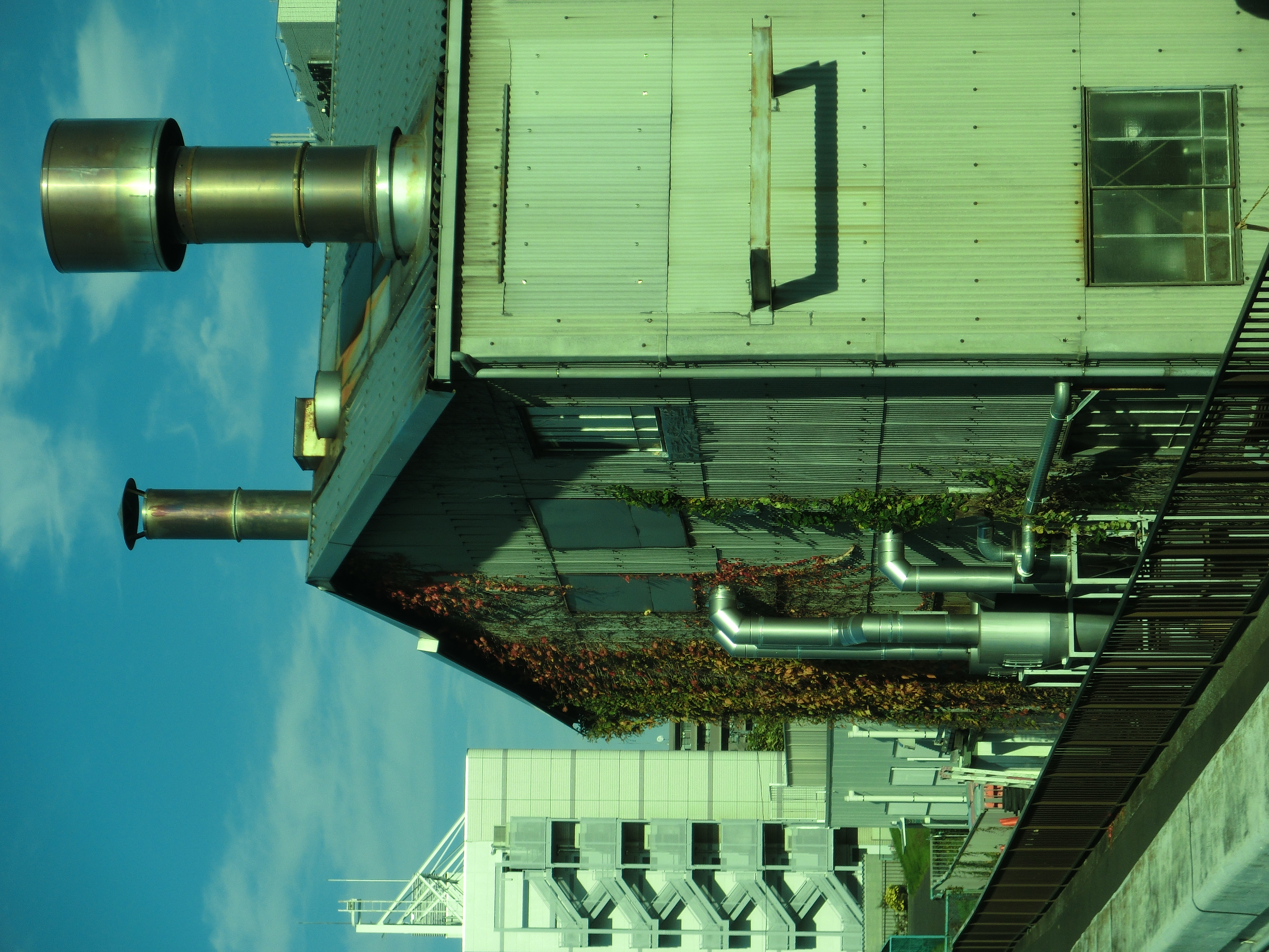 <b>カラーフィルター:緑<br>EX-ZR10 / 4,000×3,000 / 1/200秒 / F11.3 / -0.7EV / ISO100 / WB:オート / 12.9mm（73mm相当）</b>