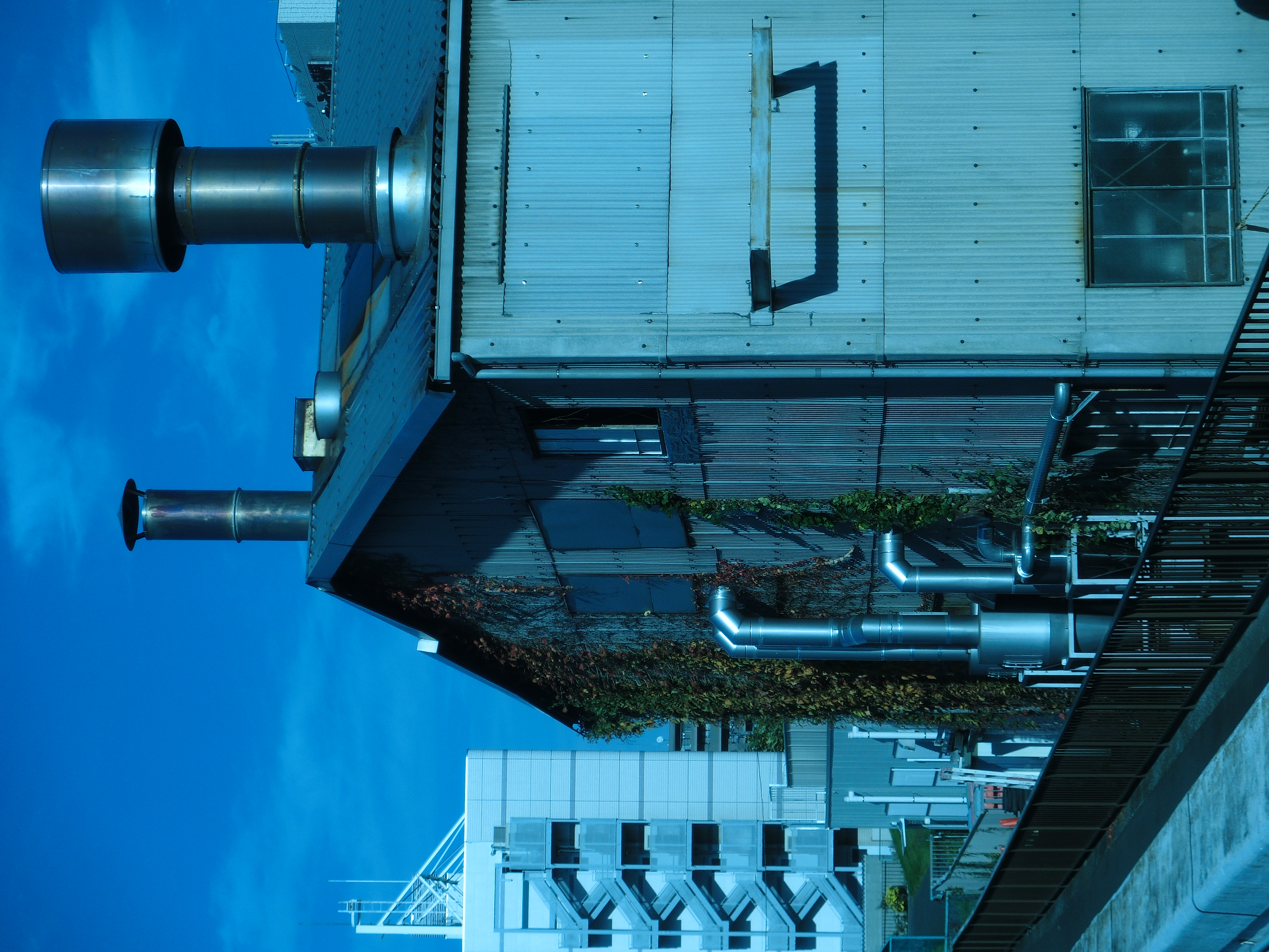 <b>カラーフィルター:青<br>EX-ZR10 / 4,000×3,000 / 1/250秒 / F11.3 / -0.7EV / ISO100 / WB:オート / 12.9mm（73mm相当）</b>