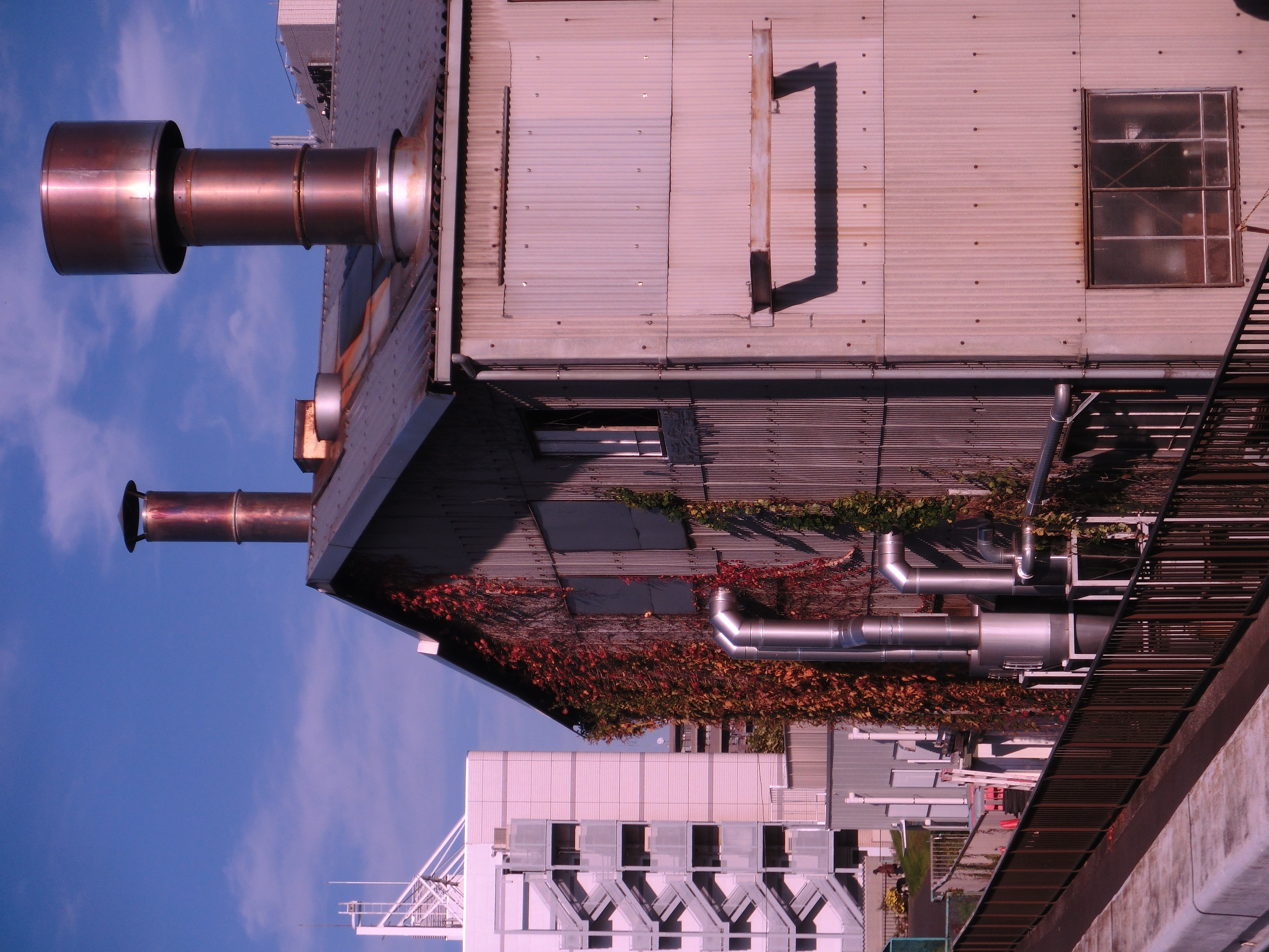 <b>カラーフィルター:紫<br>EX-ZR10 / 4,000×3,000 / 1/250秒 / F11.3 / -0.7EV / ISO100 / WB:オート / 12.9mm（73mm相当）</b>