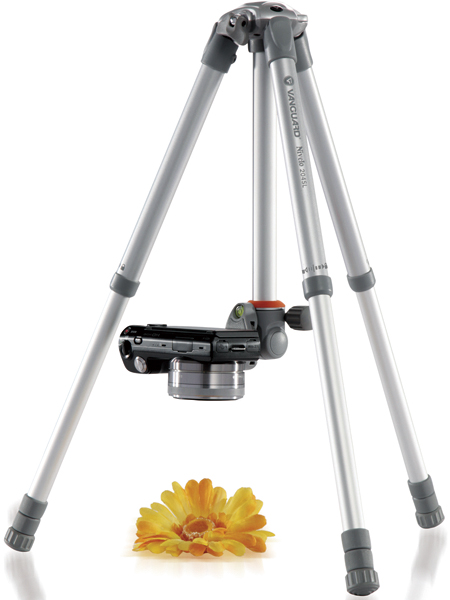 <b>ローアングルで撮影しているところ</b>