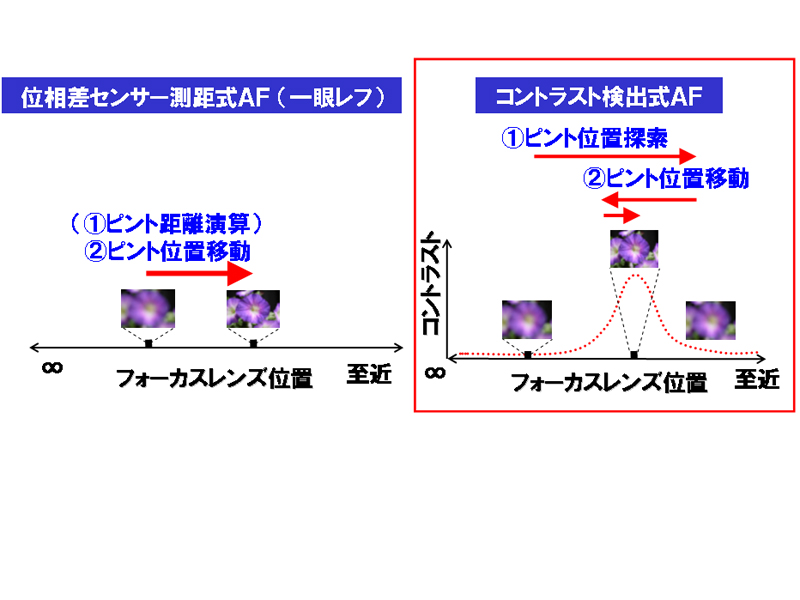 デジタル一眼レフカメラ（左）は位相差センサー式を、マイクロフォーサーズ（右）はコントラスト検出式AFを採用している