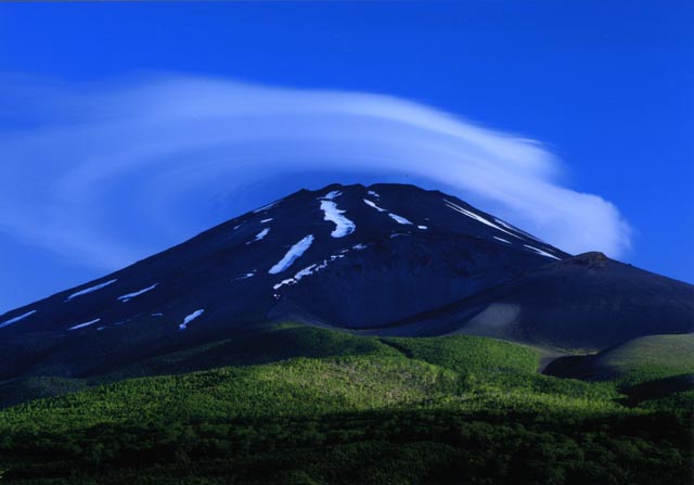 <b>(c) 竹内トキ子</b>