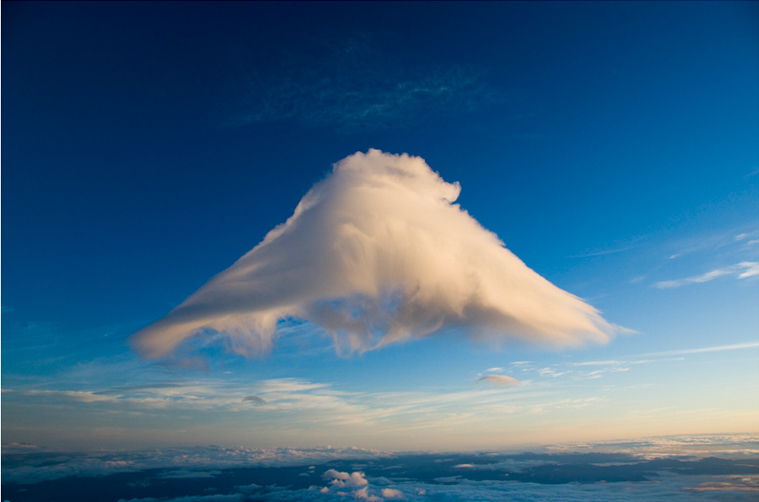 <b>収録作品の一例 (c)小野庄一</b>