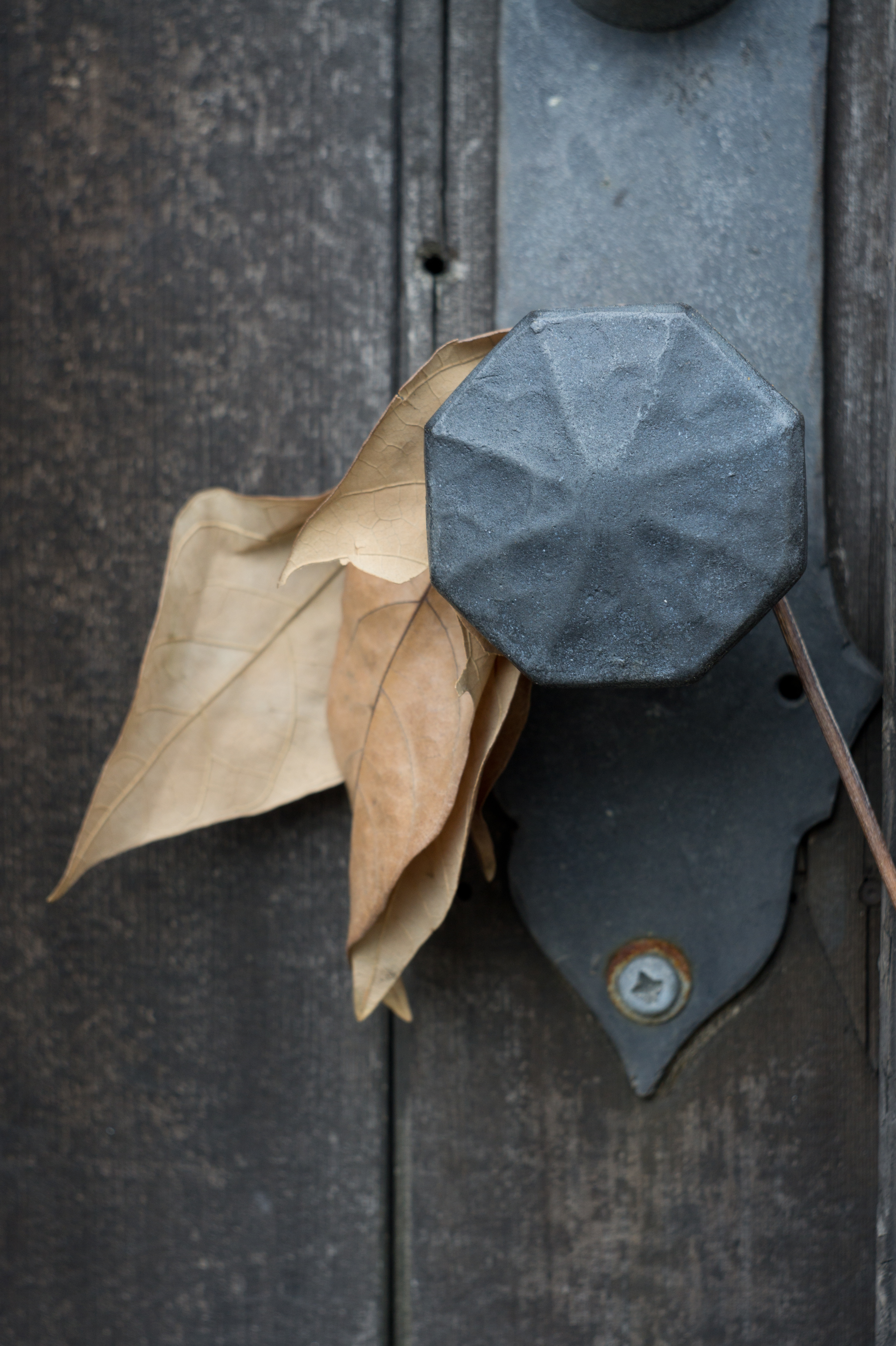 <b>NEX-5 / エクターレンズ44mm F3.5 / 4,592×3,056 / 1/50秒 / F5.6 / 0EV / ISO200 / WB:オート / 44mm</b>