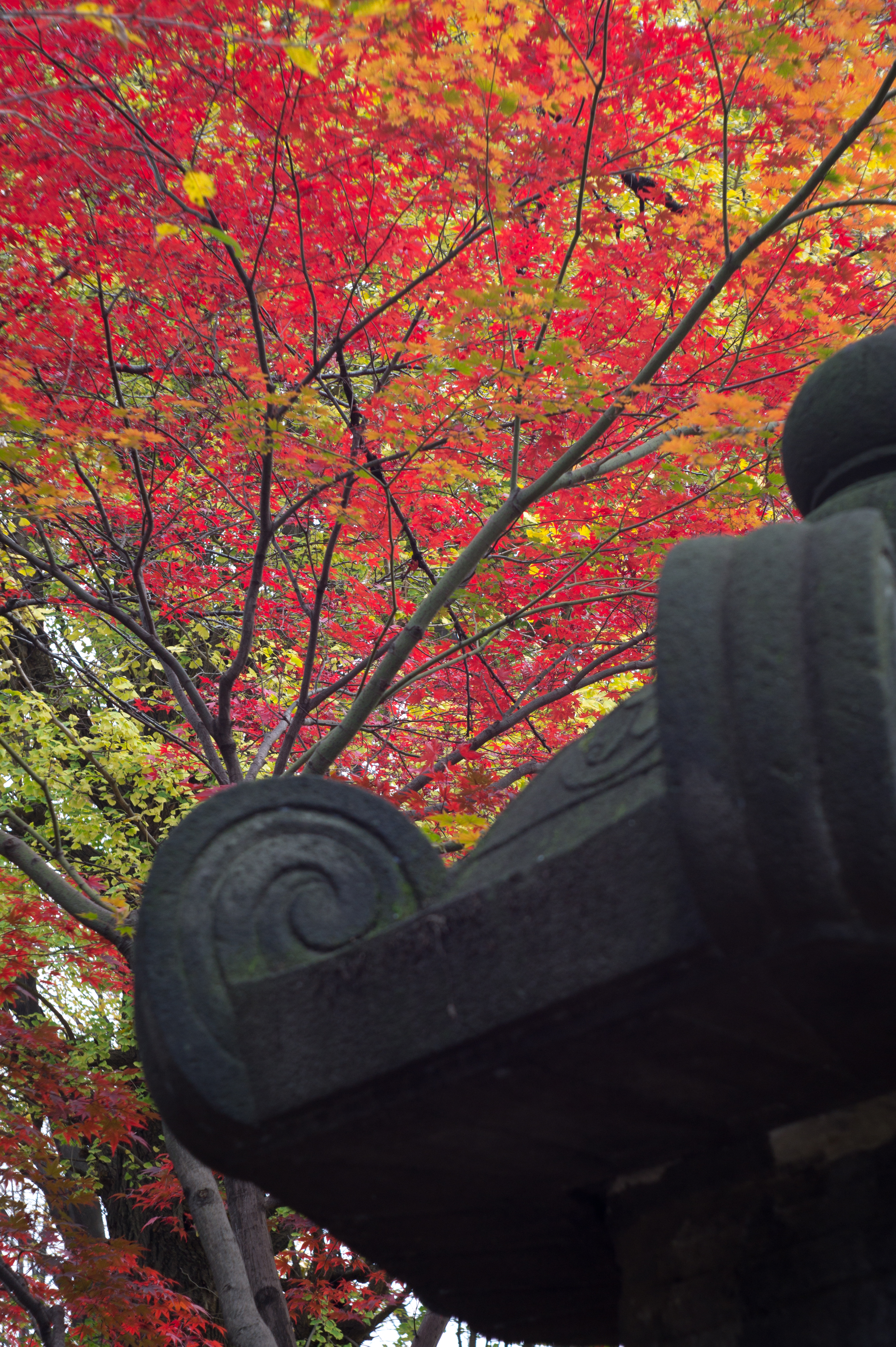 <b>NEX-5 / エクターレンズ44mm F3.5 / 4,592×3,056 / 1/60秒 / F5.6 / 0EV / ISO200 / WB:オート / 44mm</b>