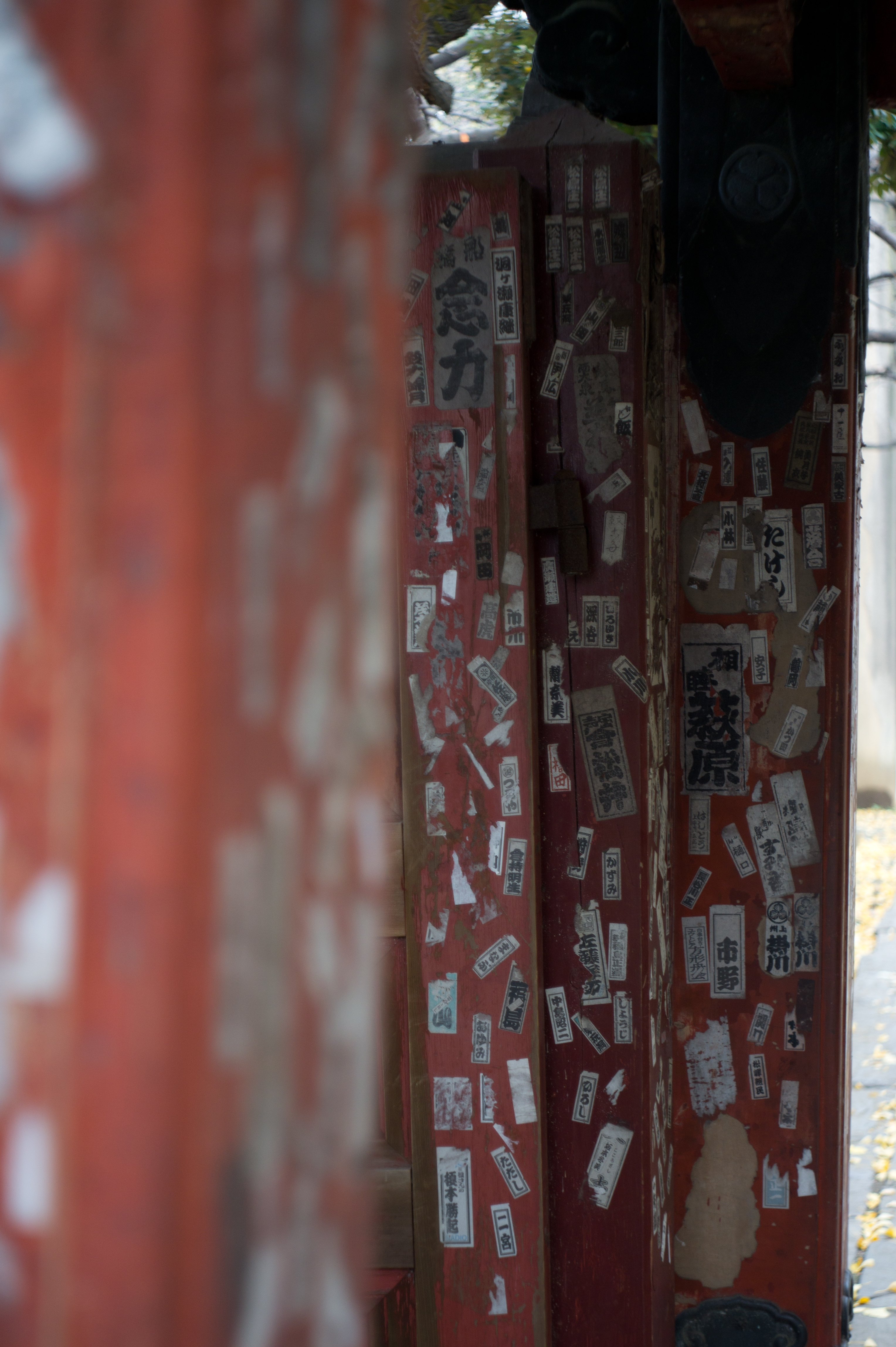 <b>NEX-5 / エクターレンズ44mm F3.5 / 4,592×3,056 / 1/30秒 / F3.5 / 0EV / ISO200 / WB:オート / 44mm</b>