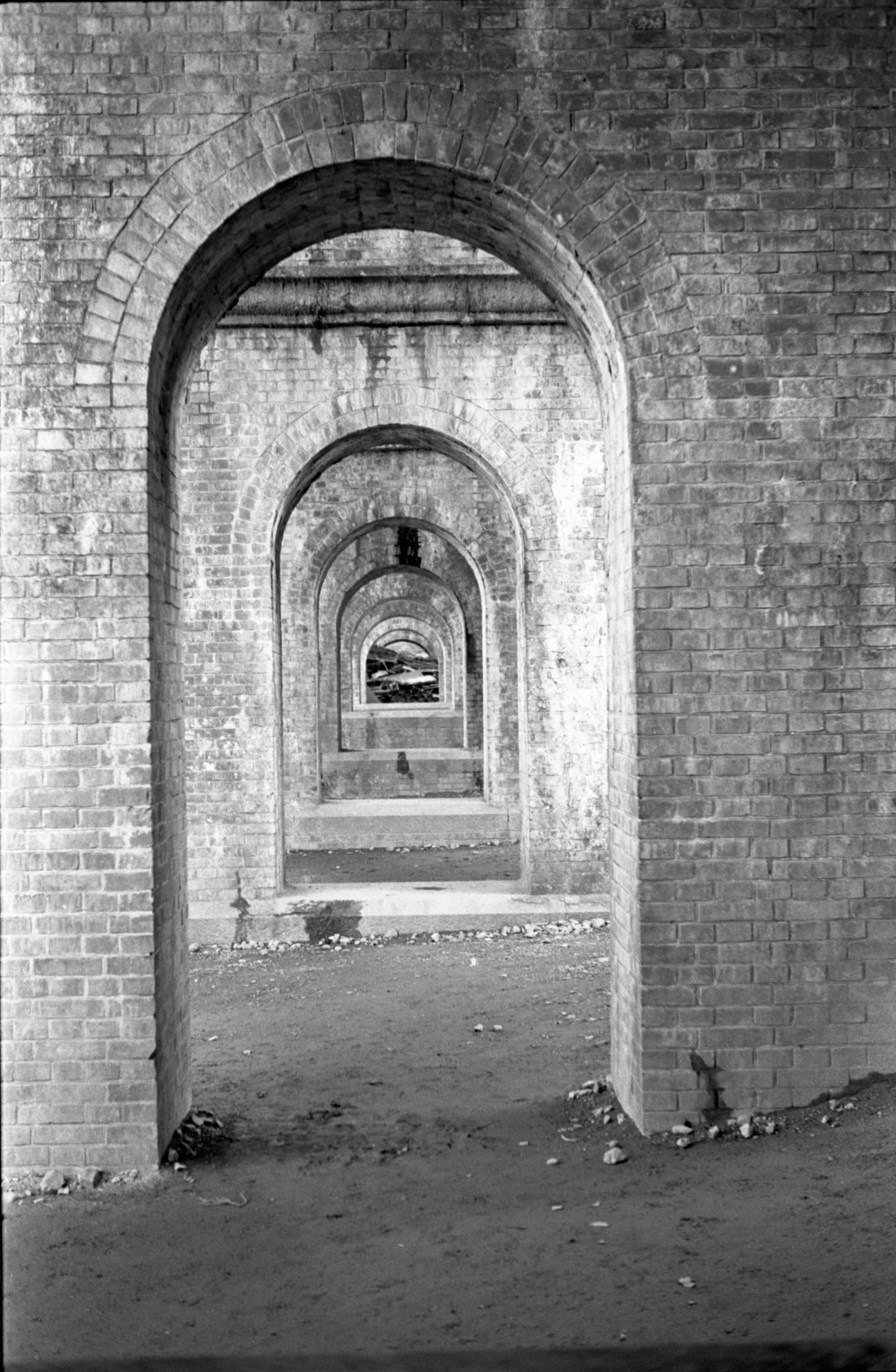 <b>GT-X970（モノクロネガ35mm）4,800dpi</b>