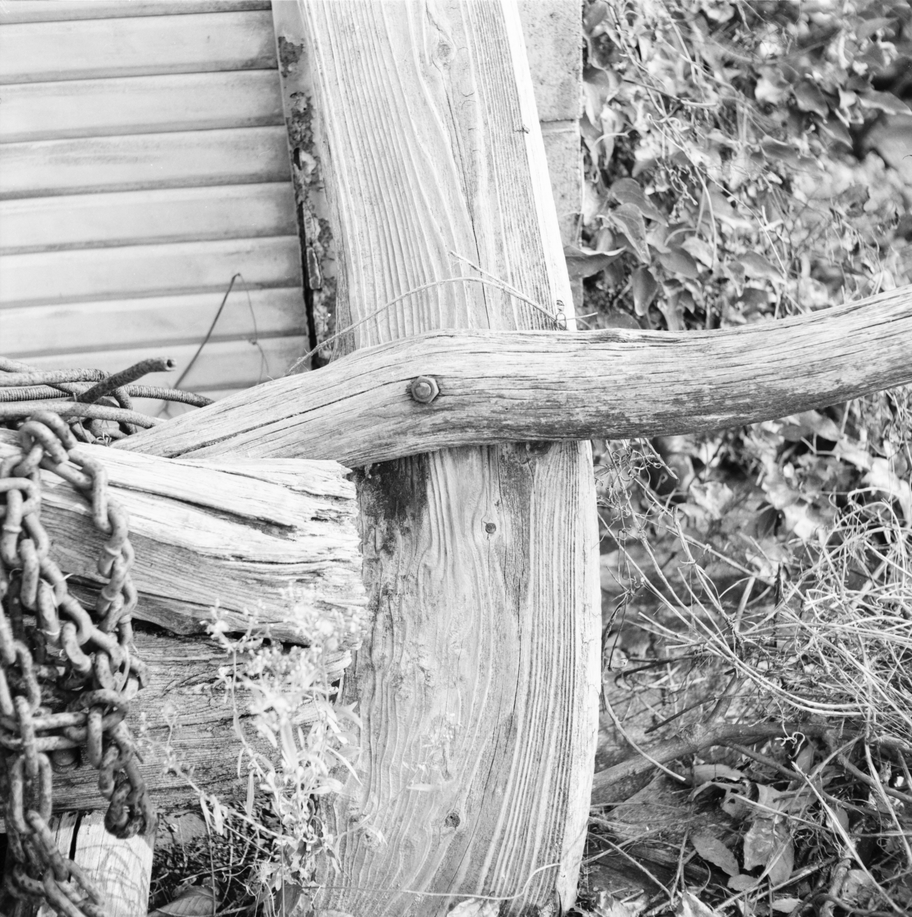 <b>CanoScan 9000F（モノクロネガ6×6cm）4,800dpi</b>