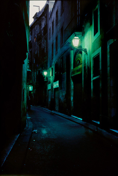 <b>(c)北井一夫</b>