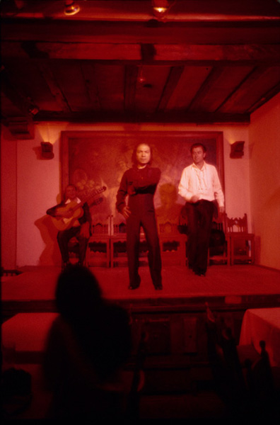 <b>(c)北井一夫</b>