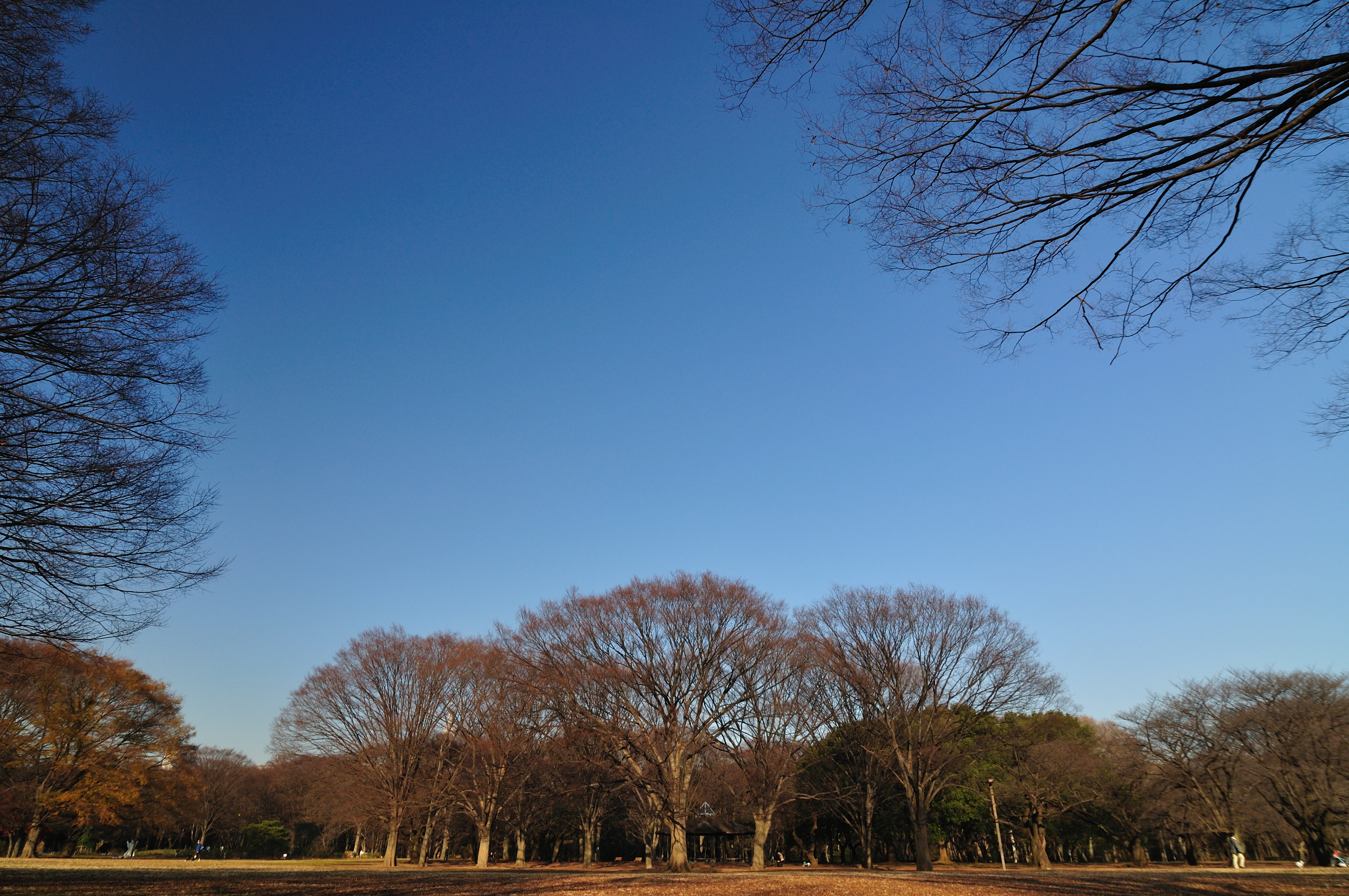 <b>Zeta EXサーキュラーPLフィルターで撮影 / D90 / AT-X 124 PRO DX / 約8.9MB / 4,288×2,848 / 1/400秒 / F5.6 / 0.0EV / ISO200 / WB:晴天 / 14.0mm</b>