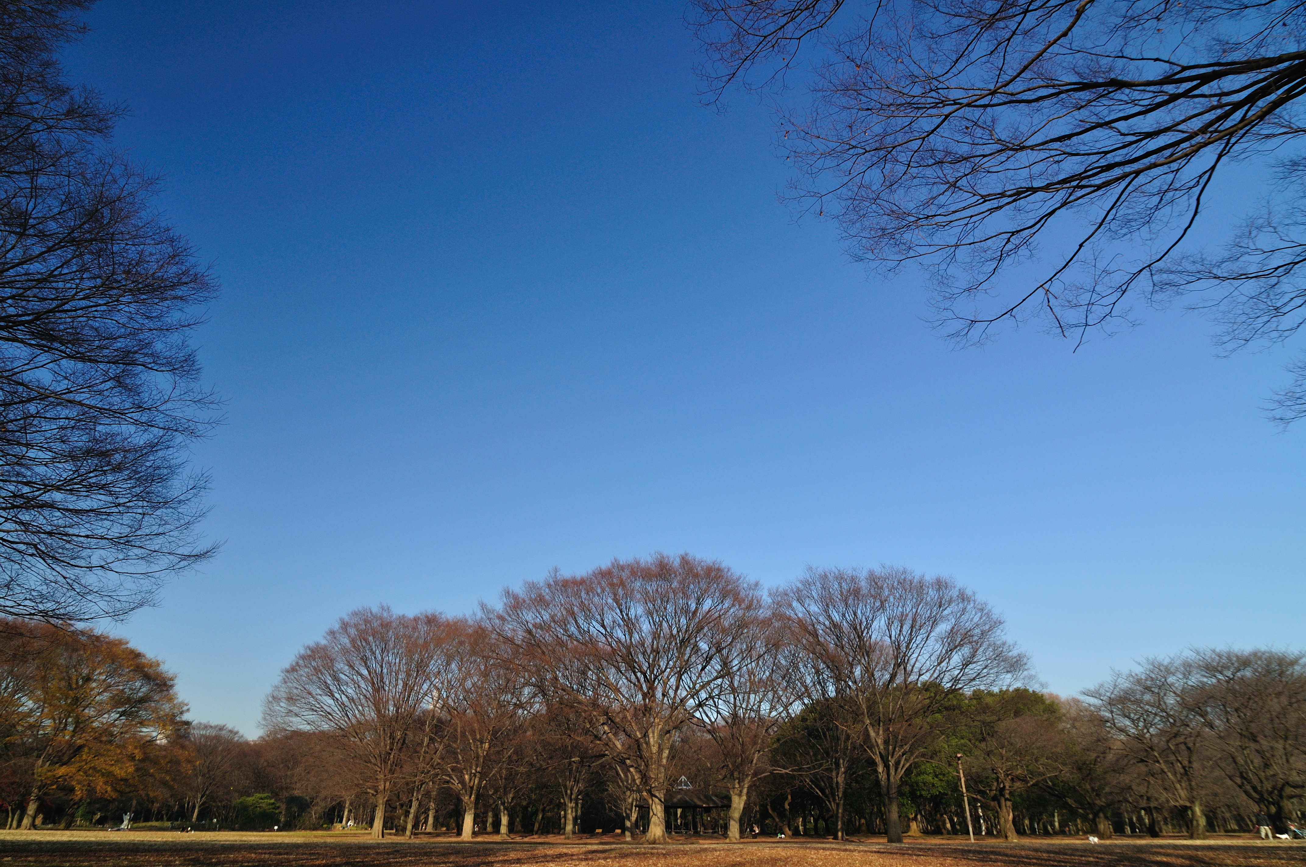 <b>マルチコートタイプMCサーキュラーPLで撮影 / D90 / AT-X 124 PRO DX / 約9.0MB / 4,288×2,848 / 1/250秒 / F5.6 / 0.0EV / ISO200 / WB:晴天 / 14.0mm</b>