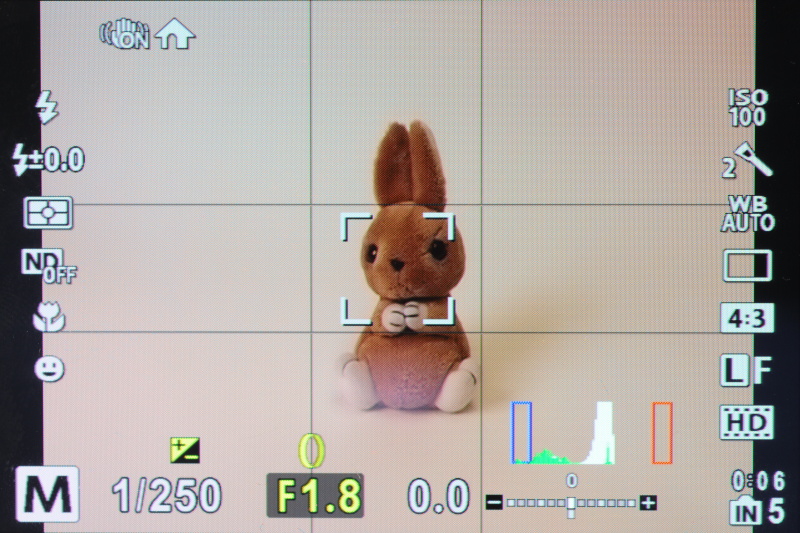 <b>ヒストグラムとグリッドを表示したところ</b>