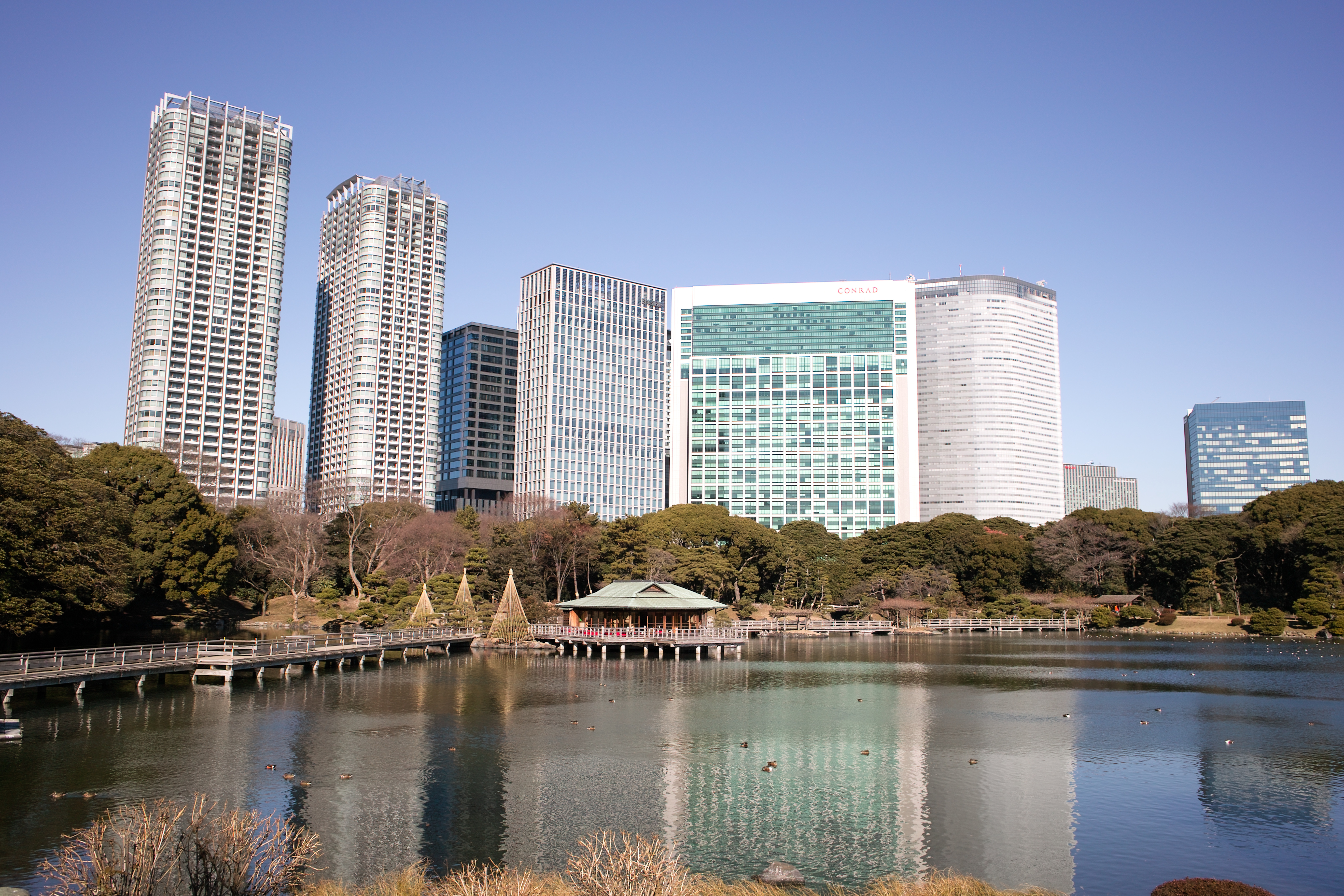 <b>DP1x / 1/500秒 / F5.6 / 0EV / ISO100</b>