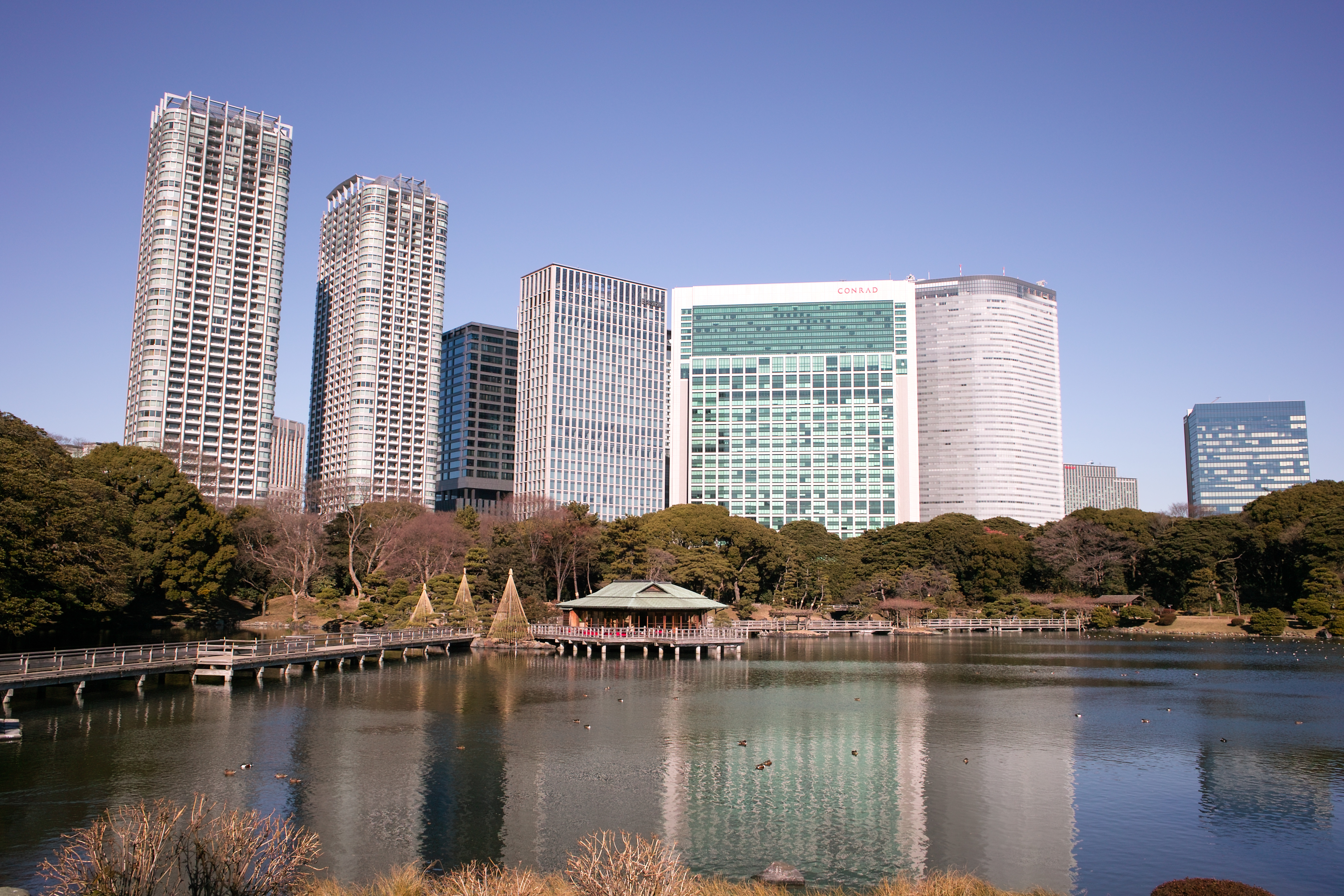 <b>DP1x / 1/250秒 / F8 / 0EV / ISO100</b>