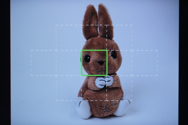 <b>測距点を選択しているところ。コントロールダイヤルでも操作できる</b>