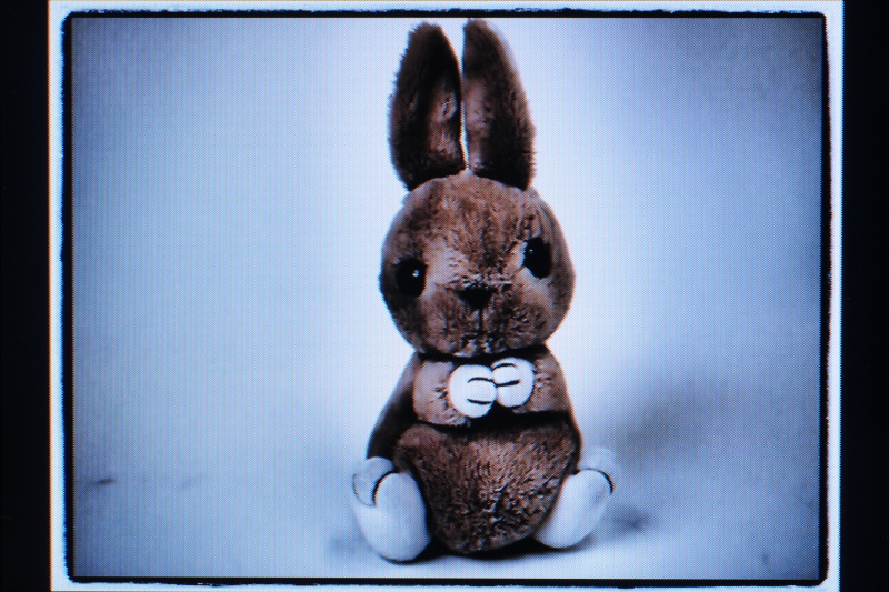 <b>アートフィルター「ドラマチックトーン」にフレーム効果を適用しているところ（ライブビュー画面）</b>