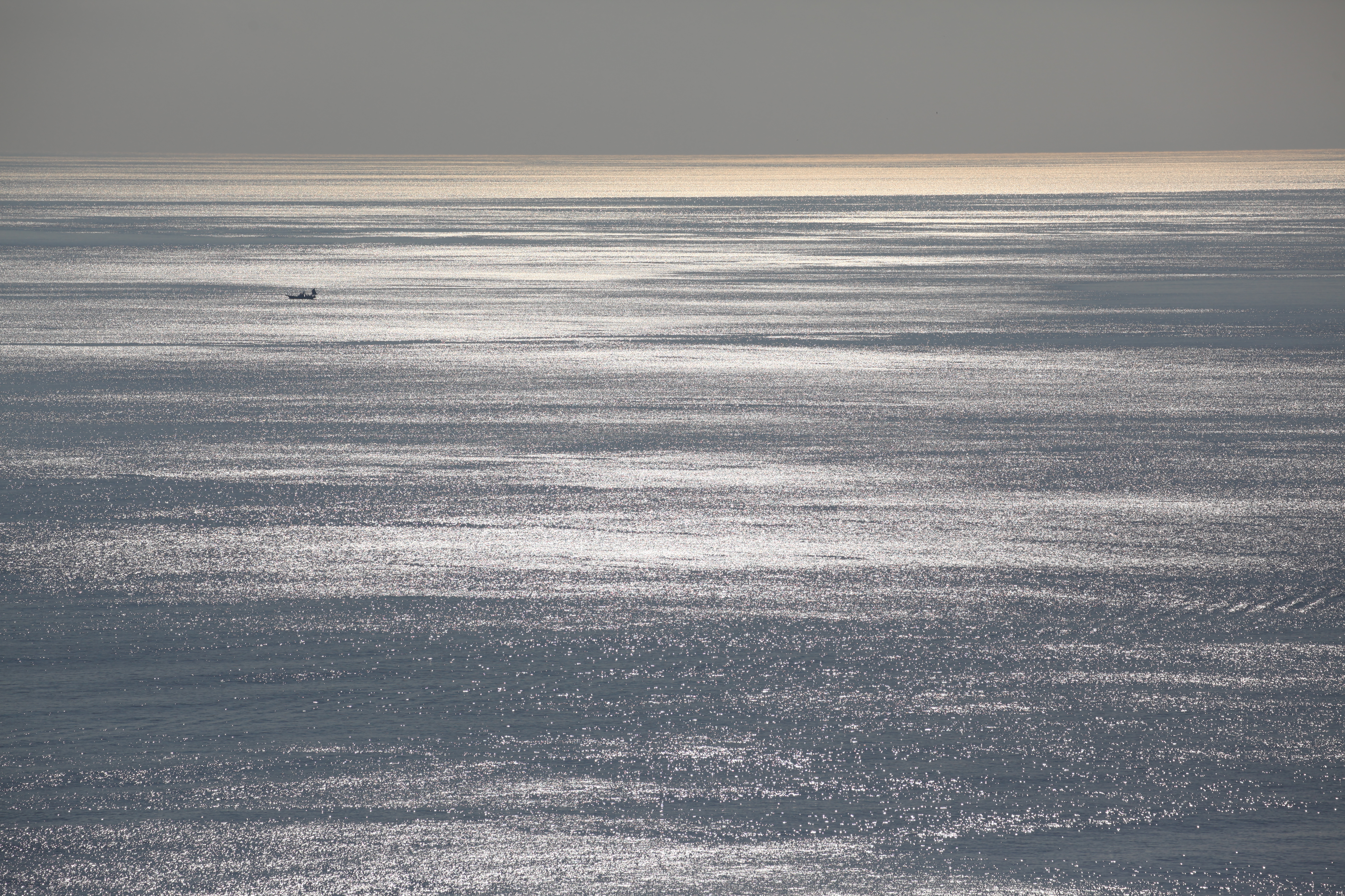 <b>EOS 5D Mark II / EF 70-300mm F4-5.6 L IS USM / 5,616×3,744 / 1/4,000秒 / F8 / 0EV / ISO100 / 絞り優先AE / WB:オート / 200mm</b>