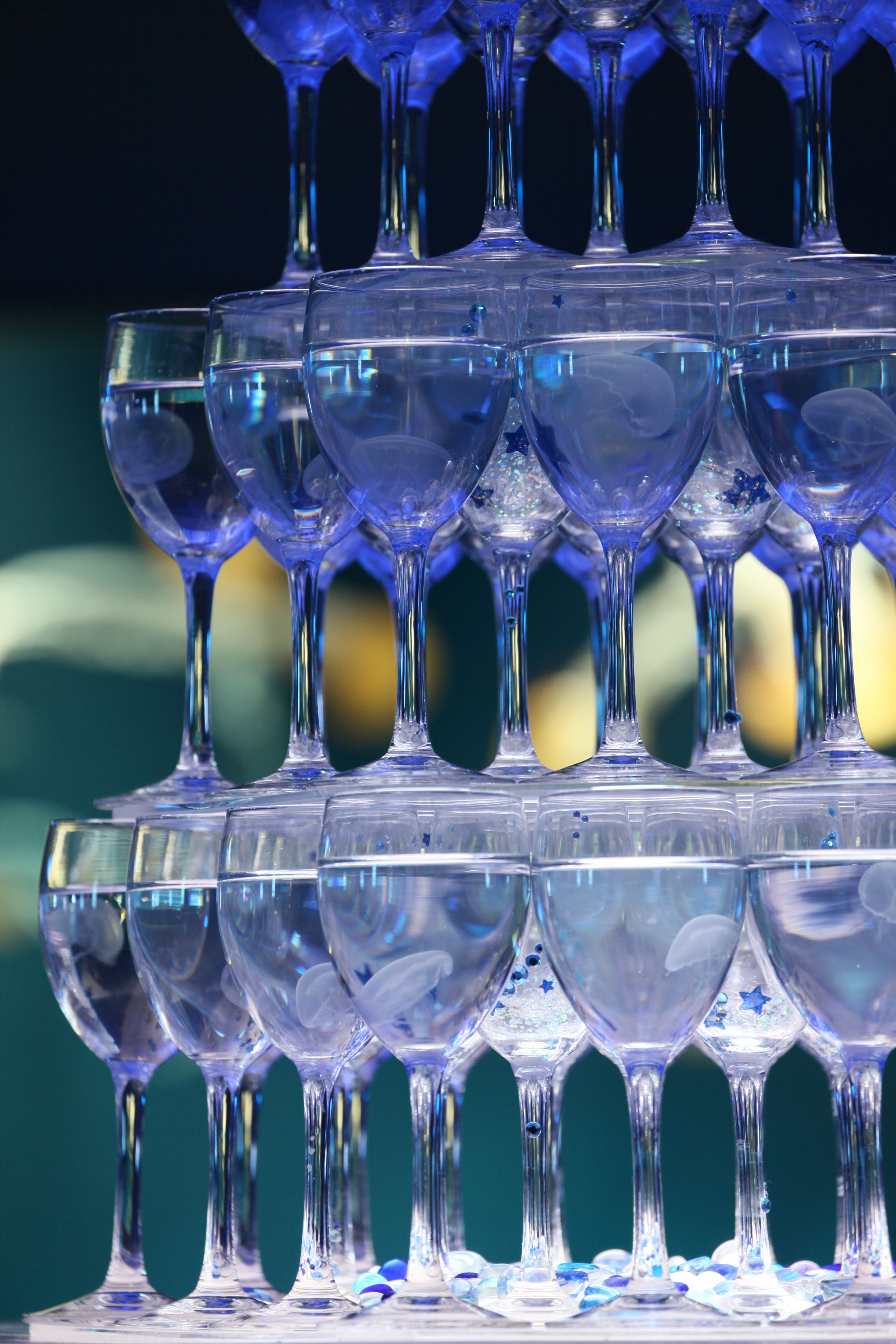 <b>EOS 5D Mark II / EF 70-300mm F4-5.6 L IS USM / 5,616×3,744 / 1/10秒 / F5.6 / 0EV / ISO800 / 絞り優先AE / WB:オート / 207mm<br>撮影場所/新江ノ島水族館</b>