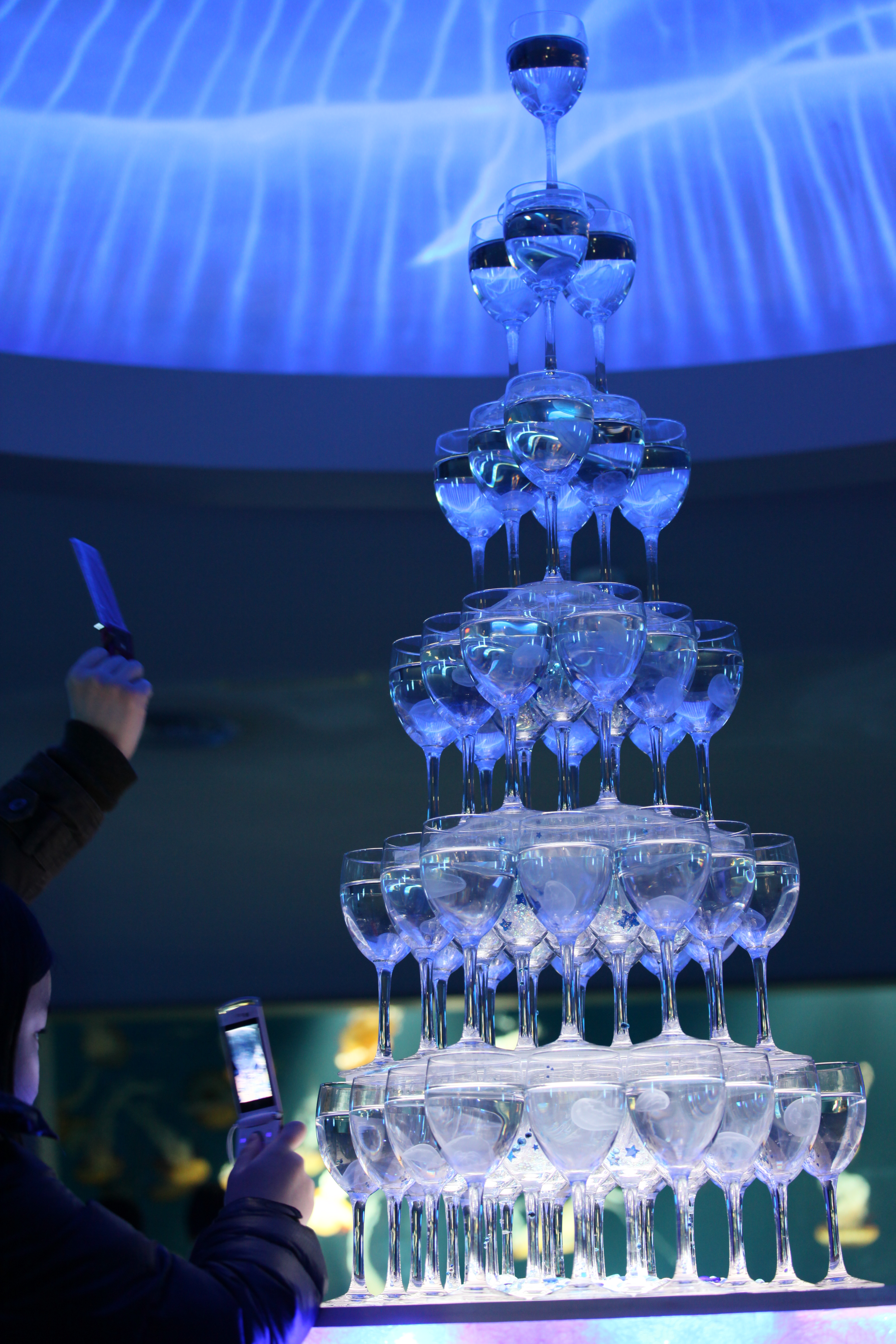 <b>EOS 5D Mark II / EF 70-300mm F4-5.6 L IS USM / 5,616×3,744 / 1/13秒 / F4.5 / 0EV / ISO1250 / 絞り優先AE / WB:オート / 70mm<br>撮影場所/新江ノ島水族館</b>