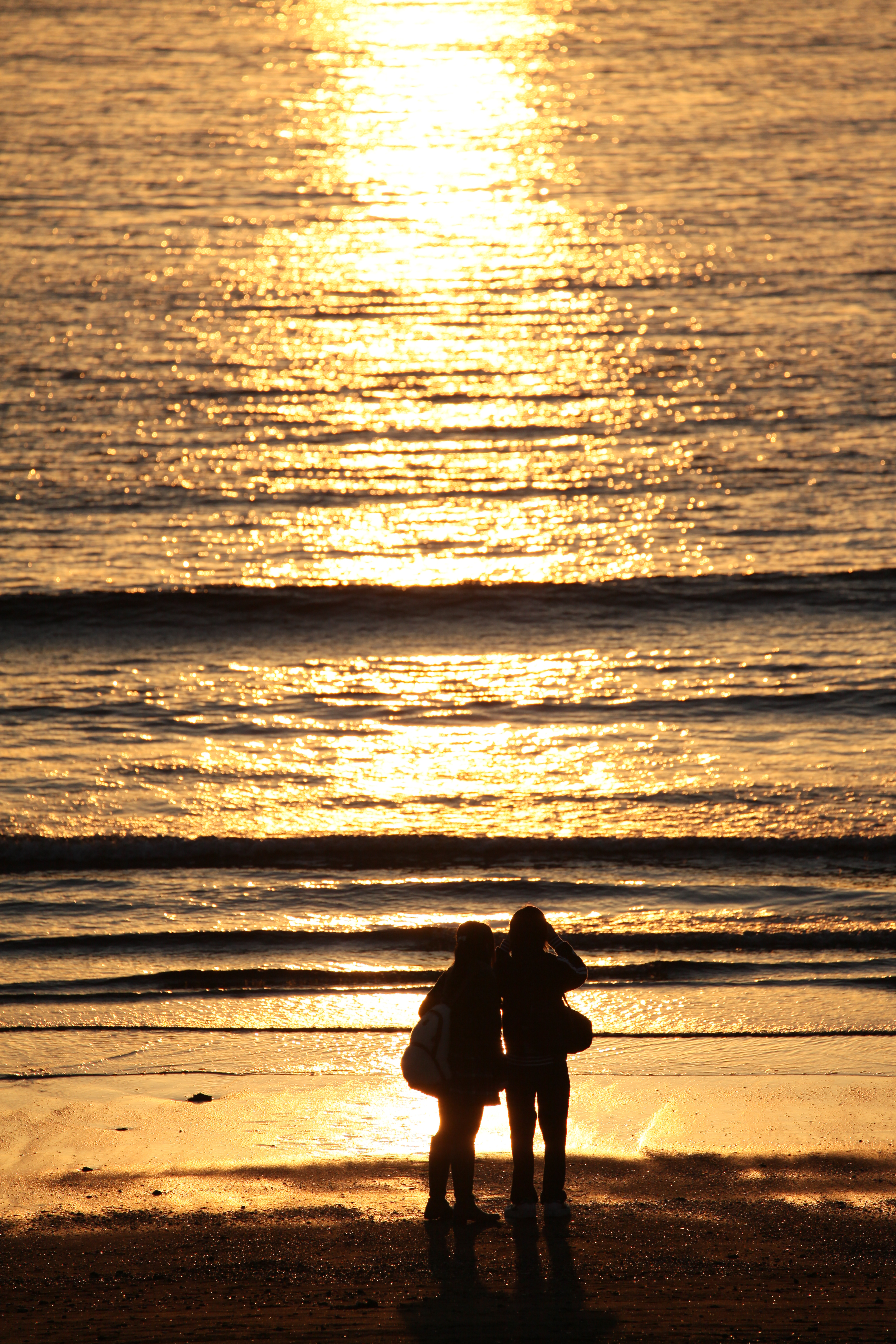 <b>EOS 5D Mark II / EF 70-300mm F4-5.6 L IS USM / 5,616×3,744 / 1/2,000秒 / F6.3 / +1EV / ISO200 / シャッター優先AE / WB:オート / 300mm</b>