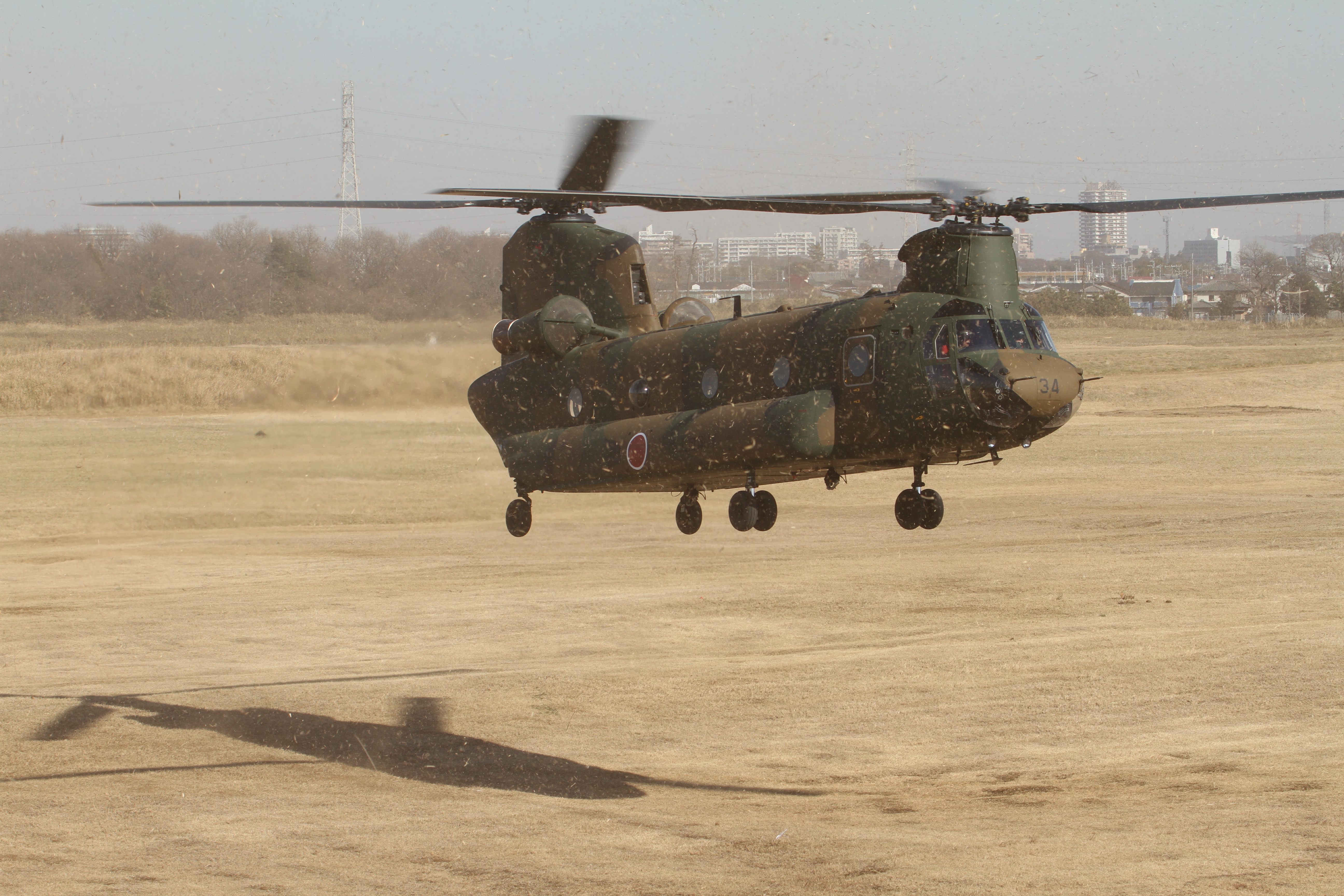 <b>EOS 7D / EF 70-300mm F4-5.6 L IS USM / 5,184×3,456 / 1/320秒 / F8 / 0EV / ISO100 / シャッター優先AE / WB:太陽光 / 86mm</b>