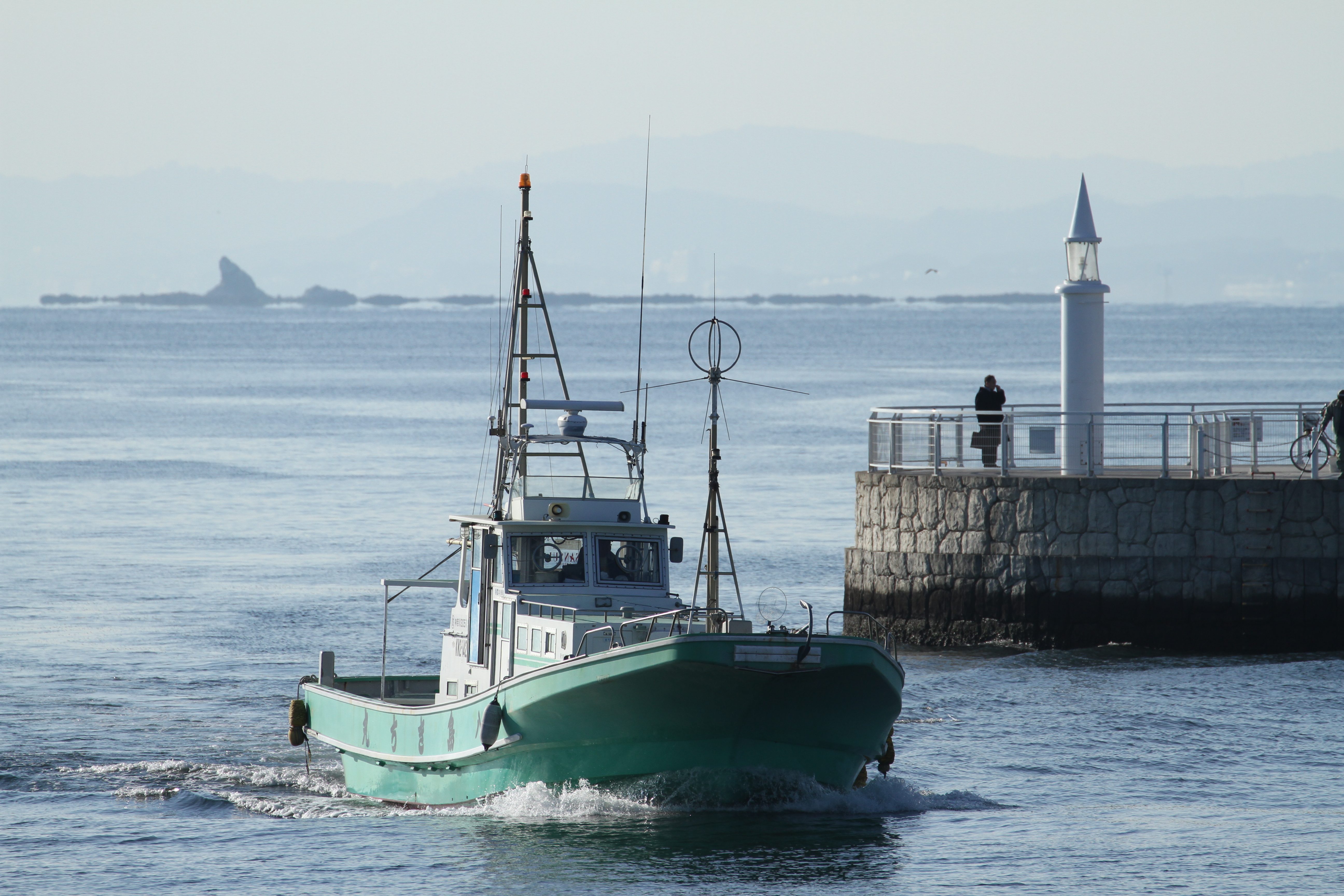 <b>EOS 7D / EF 70-300mm F4-5.6 L IS USM / 5,184×3,456 / 1/1,600秒 / F6.3 / 0EV / ISO200 / シャッター優先AE / WB:4,800K / 300mm</b>