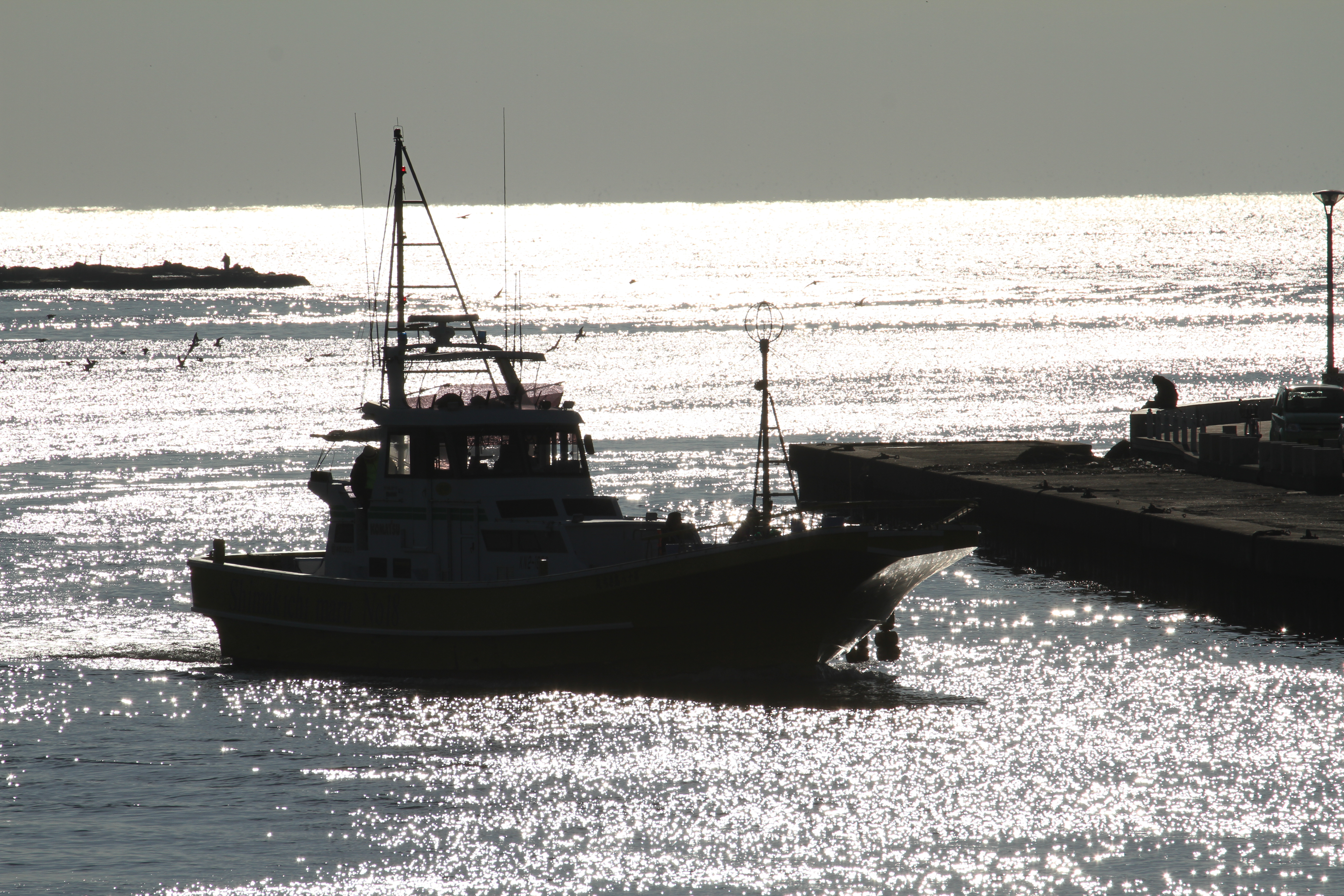 <b>EOS 7D / EF 70-300mm F4-5.6 L IS USM / 5,184×3,456 / 1/1,600秒 / F13 / 0EV / ISO100 / シャッター優先AE / WB:4,800K / 300mm</b>