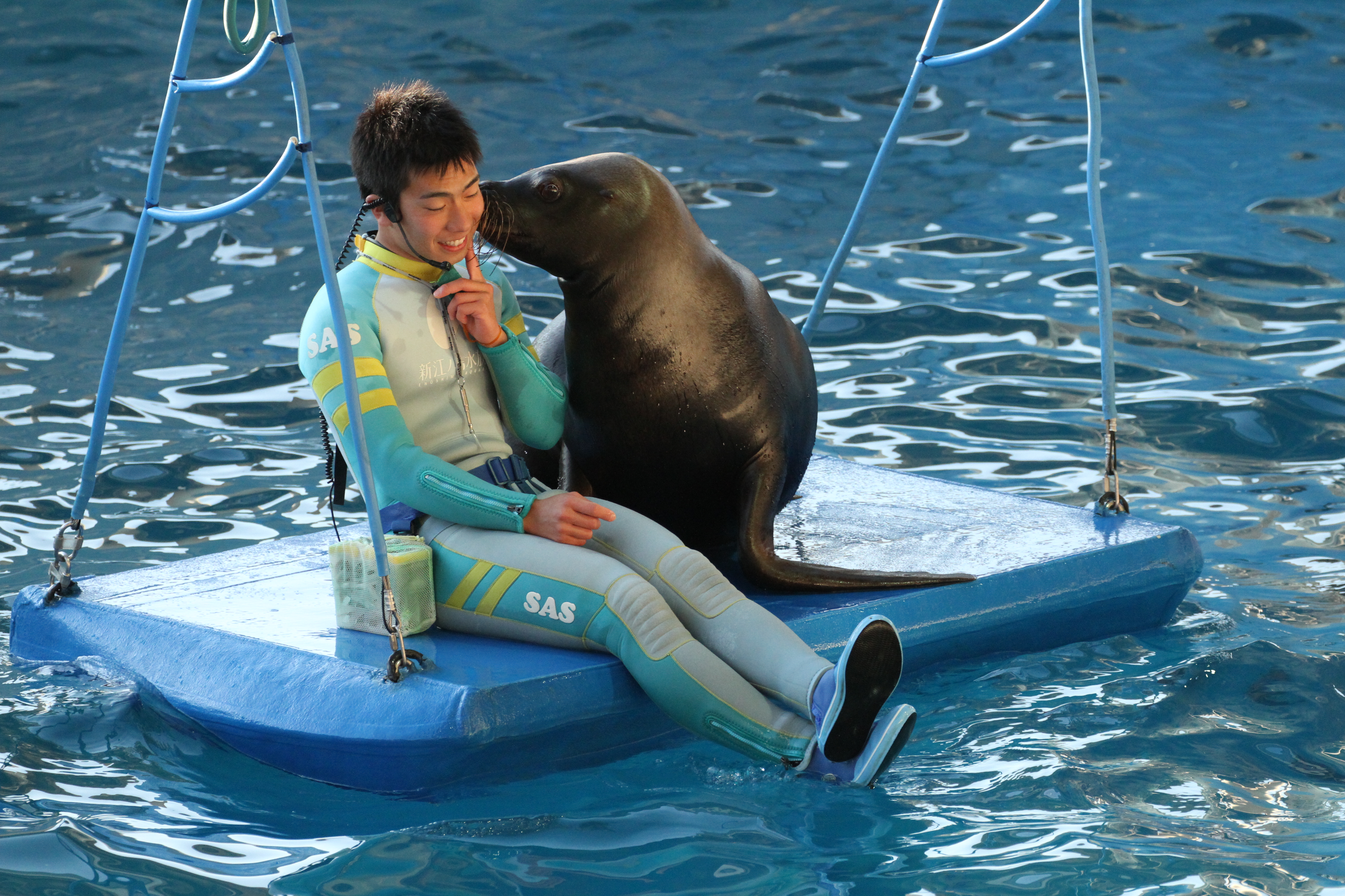 <b>EOS 7D / EF 70-300mm F4-5.6 L IS USM / 5,184×3,456 / 1/1,600秒 / F5 / 0EV / ISO2000 / シャッター優先AE / WB:太陽光 / 176mm<br>撮影場所/新江ノ島水族館</b>