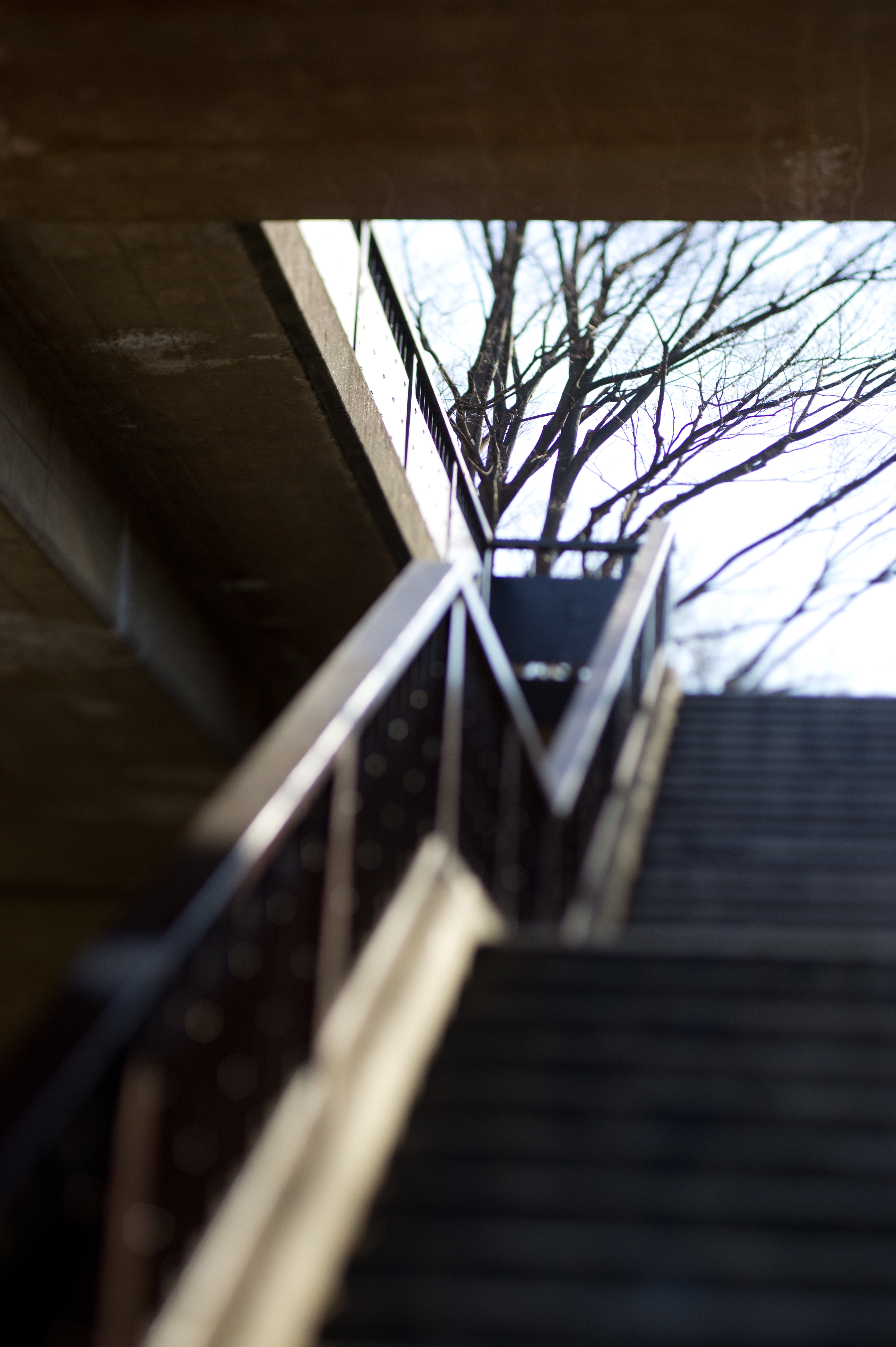 <b>NEX-5 / ズミクロンR 50mm F2 タイプI / 4,592×3,056 / 1/1,000秒 / F2.8 / 0EV / ISO200 / WB:オート / 50mm</b>