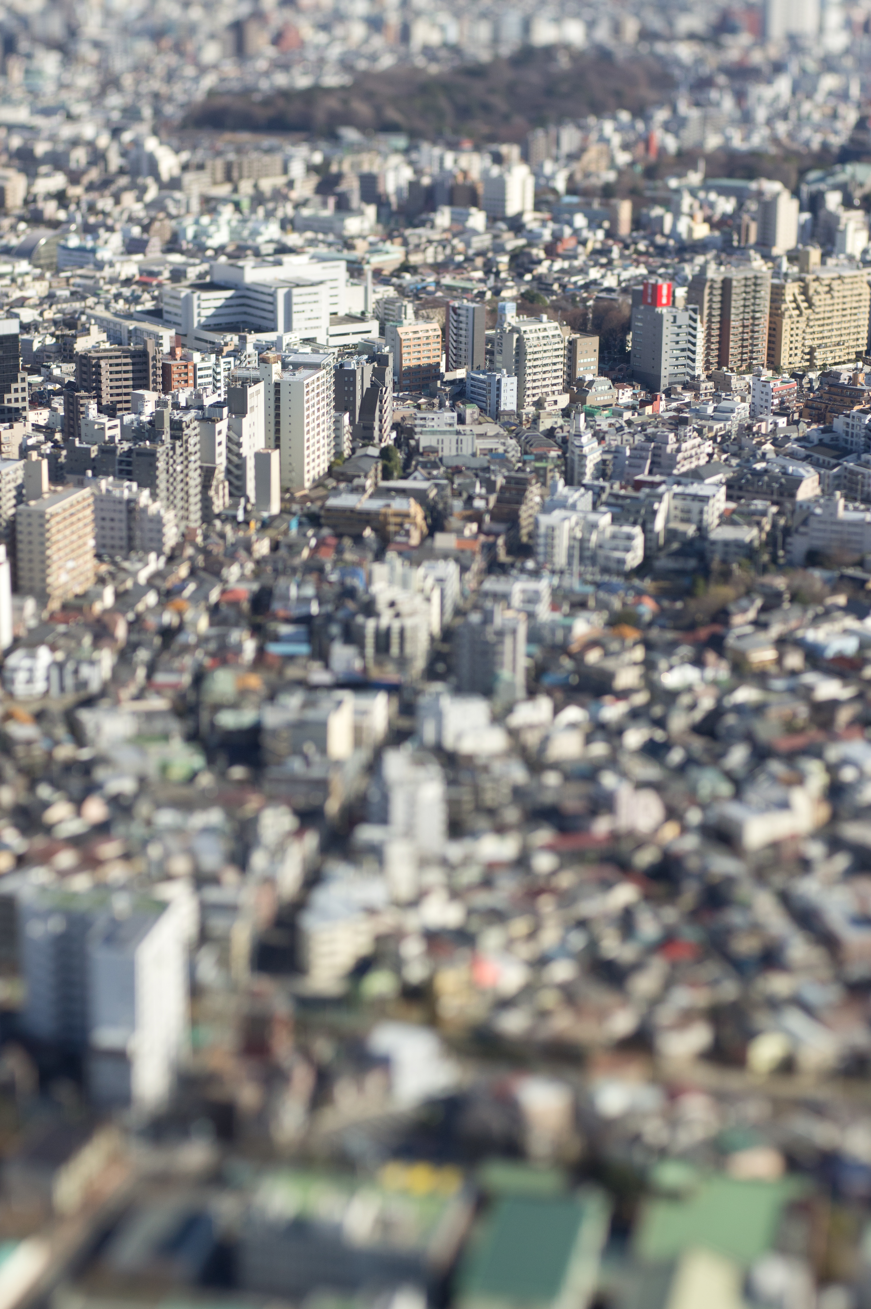 <b>NEX-5 / ズミクロンR 50mm F2 タイプI / 4,592×3,056 / 1/1,250秒 / F4 / 0EV / ISO200 / WB:オート / 50mm</b>