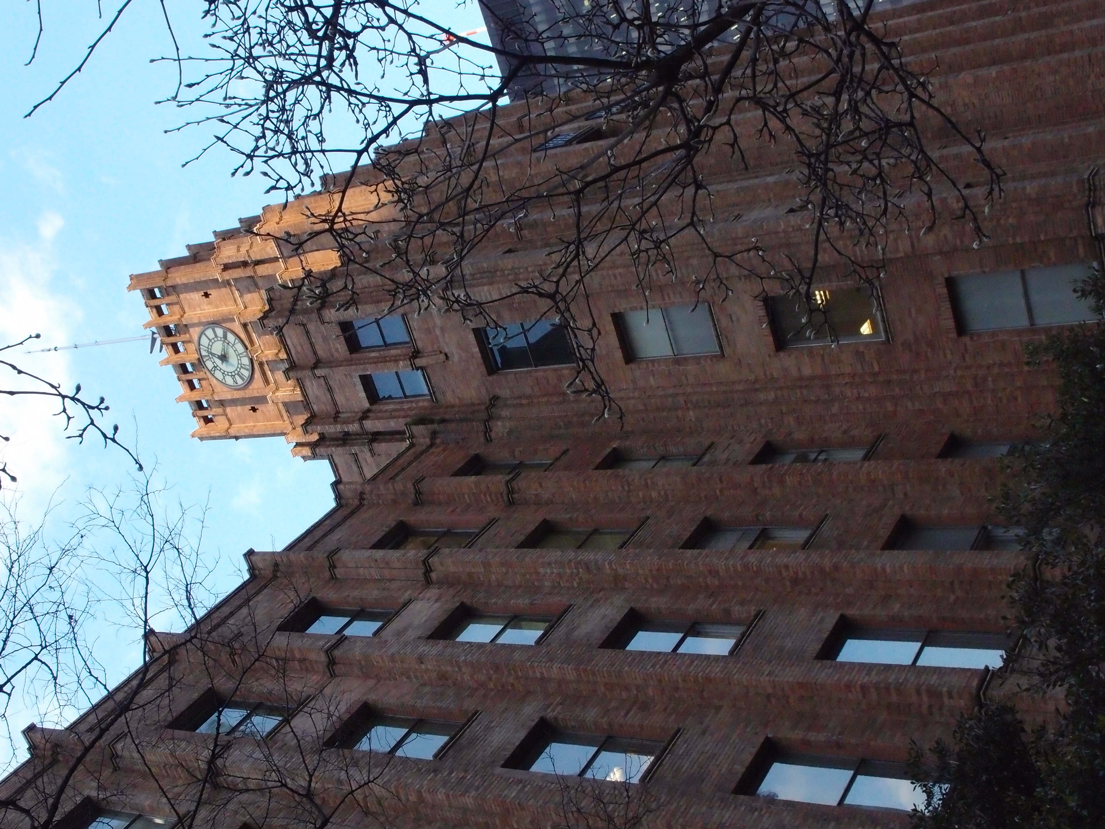 <b>ISO800<br>XZ-1 / 3,648×2,736 / 1/400秒 / F5.6 / -1EV / WB:太陽光 / 8.99mm（41mm相当）</b>