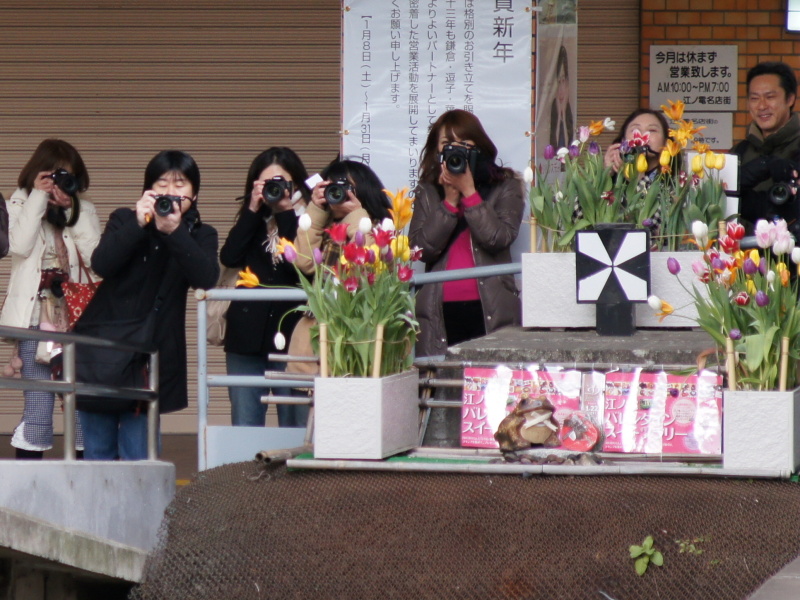 <b>車止めの後ろから入線する江ノ電を狙う</b>