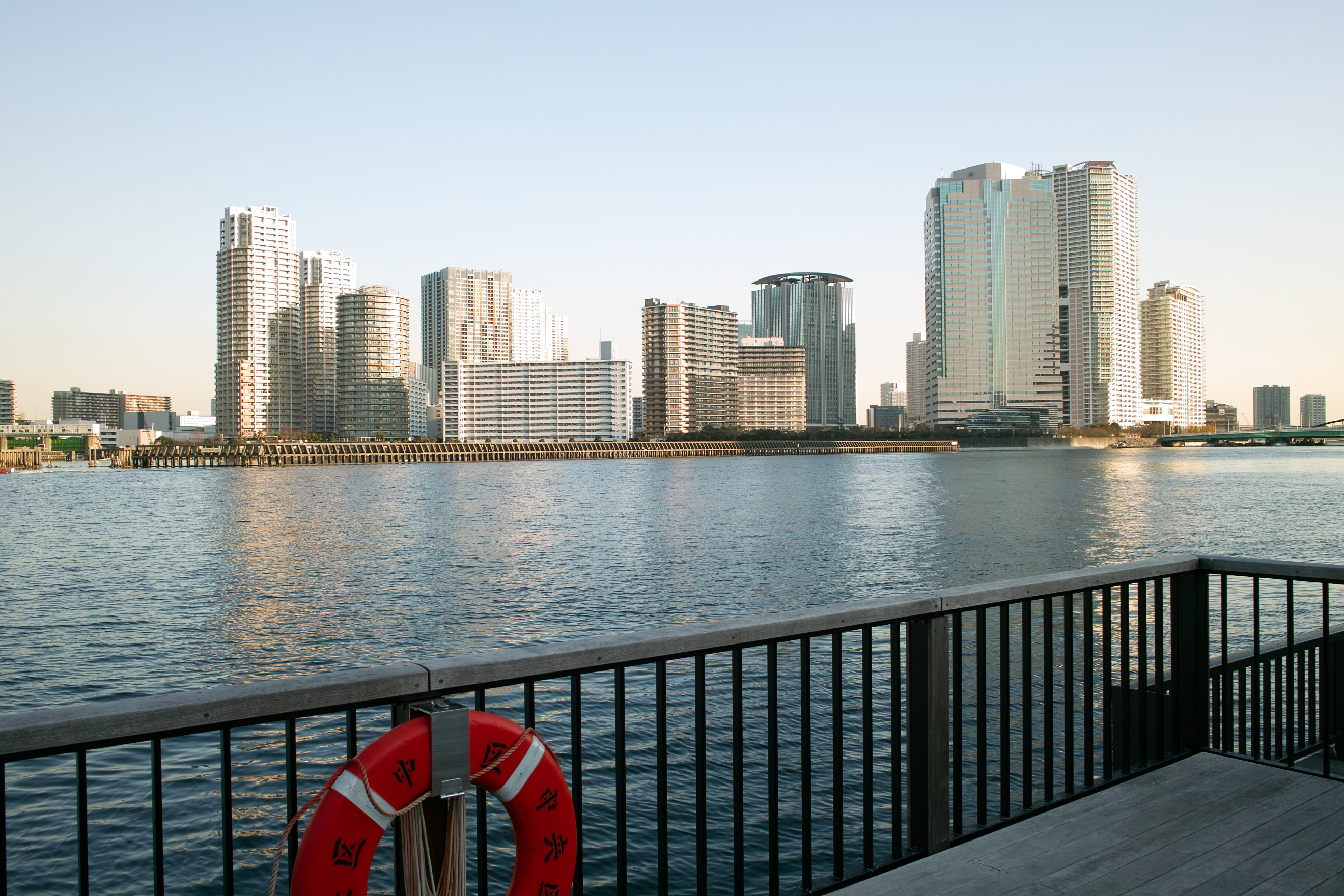 <b>ポートレート<br>DP1x / 約1.6MB / 2,640×1,760 / 1/40秒 / F8 / 0.0EV / ISO50 / 16.6mm</b>